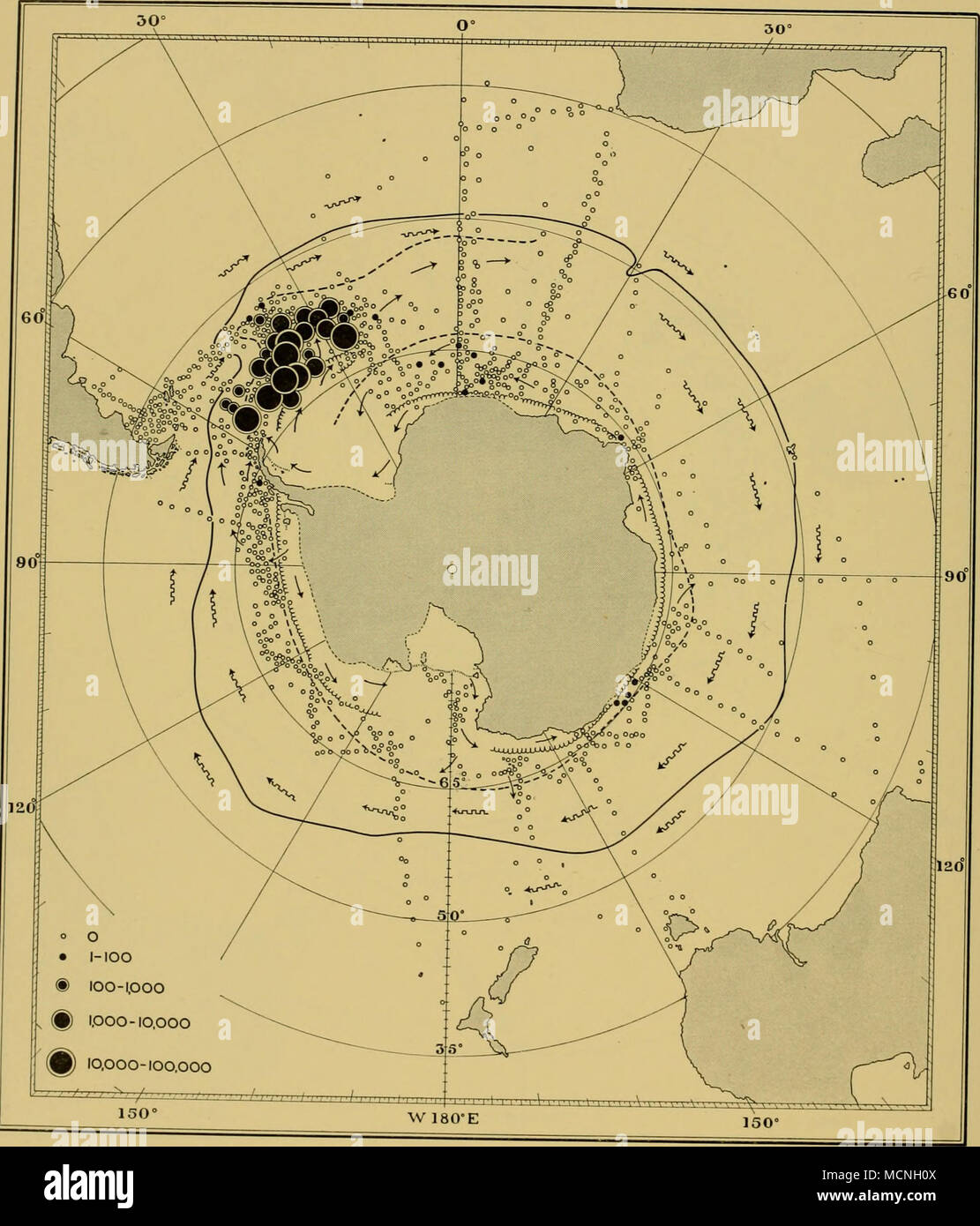 . ® 100-1.000 -, ® 1.000-10.000 10,000-100,000 Fig. 26. In estate la distribuzione delle larve di superficie (stramin cale netto). Ice-edge febbraio media. ? J Foto Stock