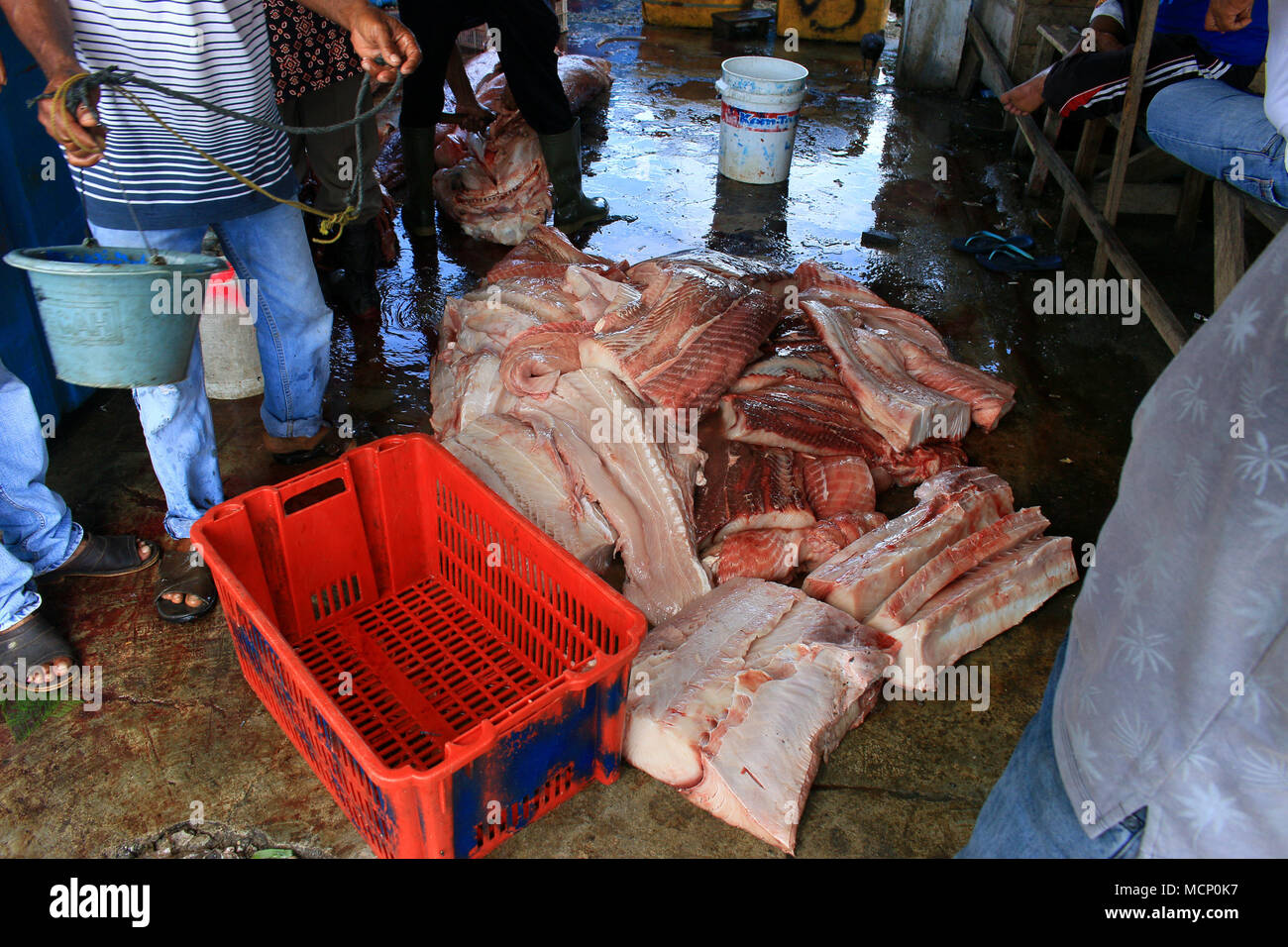 La carne di squalo visto essendo venduto a Meulaboh mercato. Il governo indonesiano è il serraggio dei regolamenti per la pesca degli squali e mante, che sono ora inclusi nell'elenco dell'appendice II della convenzione sul commercio internazionale delle specie minacciate di estinzione. Tuttavia ogni giorno ci sono centinaia di squali catturati dai pescatori nelle acque della provincia di Aceh, sebbene la maggior parte degli squali catturati sono il risultato delle catture accidentali. Essi vengono venduti nel mercato insieme con altri pesci. Foto Stock