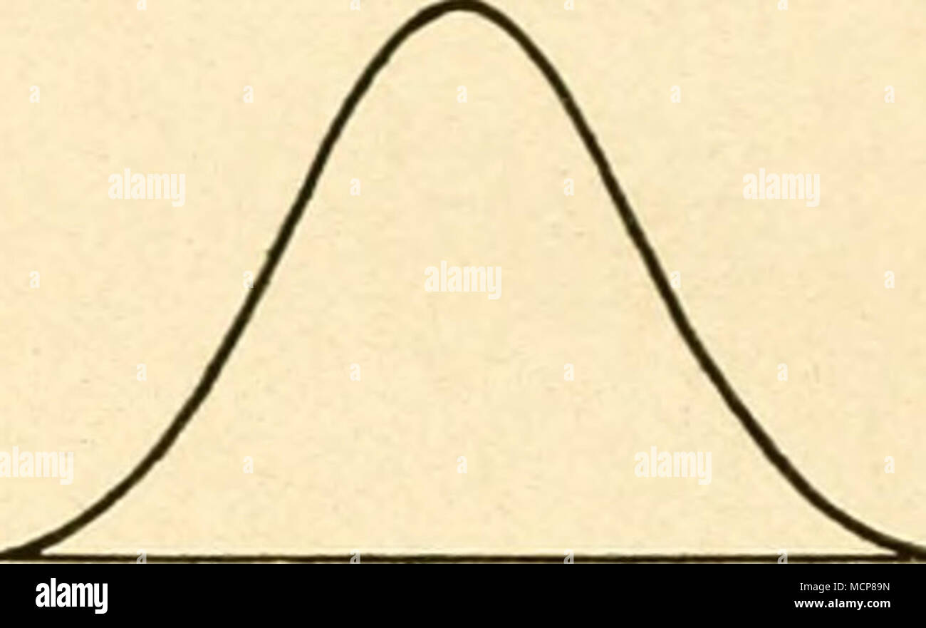 . Fig. 6. Verhältuis Klassen der zueinander in F^ bei der Kreuzung schwarze X wilde Drosophila. Die dicke Kurve stellt die Variationsbreite der mutazione dar, die dünne die des wilden Typus und die unterbrochene Kurve die Variationsbreite der Heterozygoten-Klasse. ausgesetzt, dass Nahrung und Feuchtigkeit die richtige Beschaffenheit haben. Die zuletzt ausgeschlüpften "normalen" Fliegen der anormalen Rasse können generationenlang "normale" fortgezüchtet werden, sobald aber eine generazione sich unter günstigen Bedingungen entwickelt, Sind Sie vollkommen normale, gerade als seien alle ihre Foto Stock