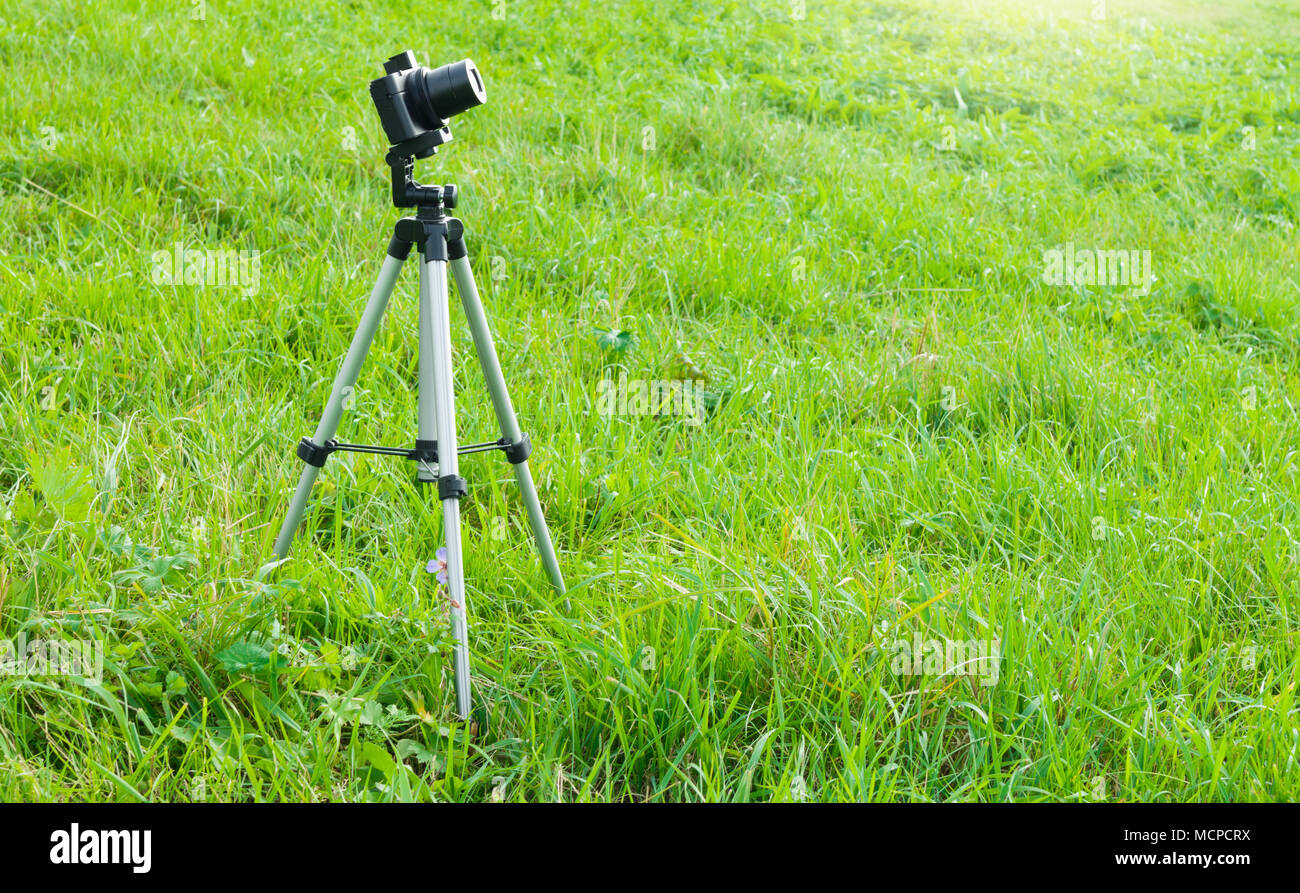 Fotocamera e supporto a treppiede sull'erba. Fotografia di natura - la fotocamera sul cavalletto con telecomando in un campo. Foto Stock