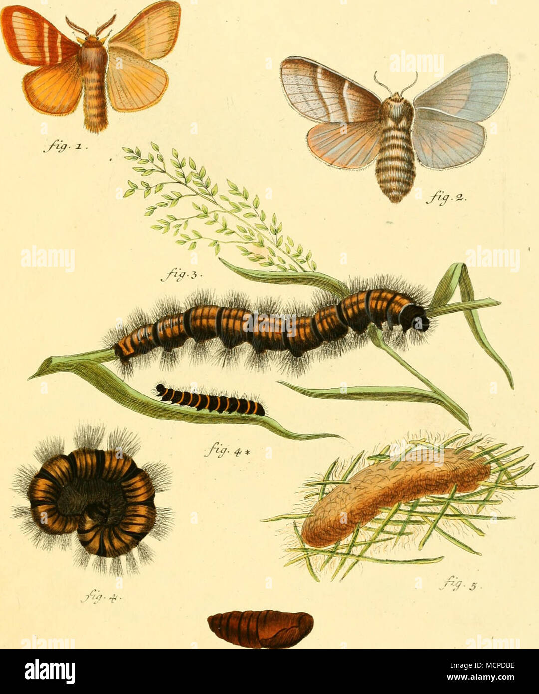 . ';- 3 Pkalaen. euyop Ixn/IHI/rcs efmxf. ./.. /;Â ¢/'.//,/. /. 7/nis. na.-i,. fbrm AlU â L&amp; f/"un .1 *. /..'-/// Zuz&GT;eruh ,/&lt;â /.i/r pq. $ . puiui . fia. &Amp;. ihn.-/.:. Foto Stock