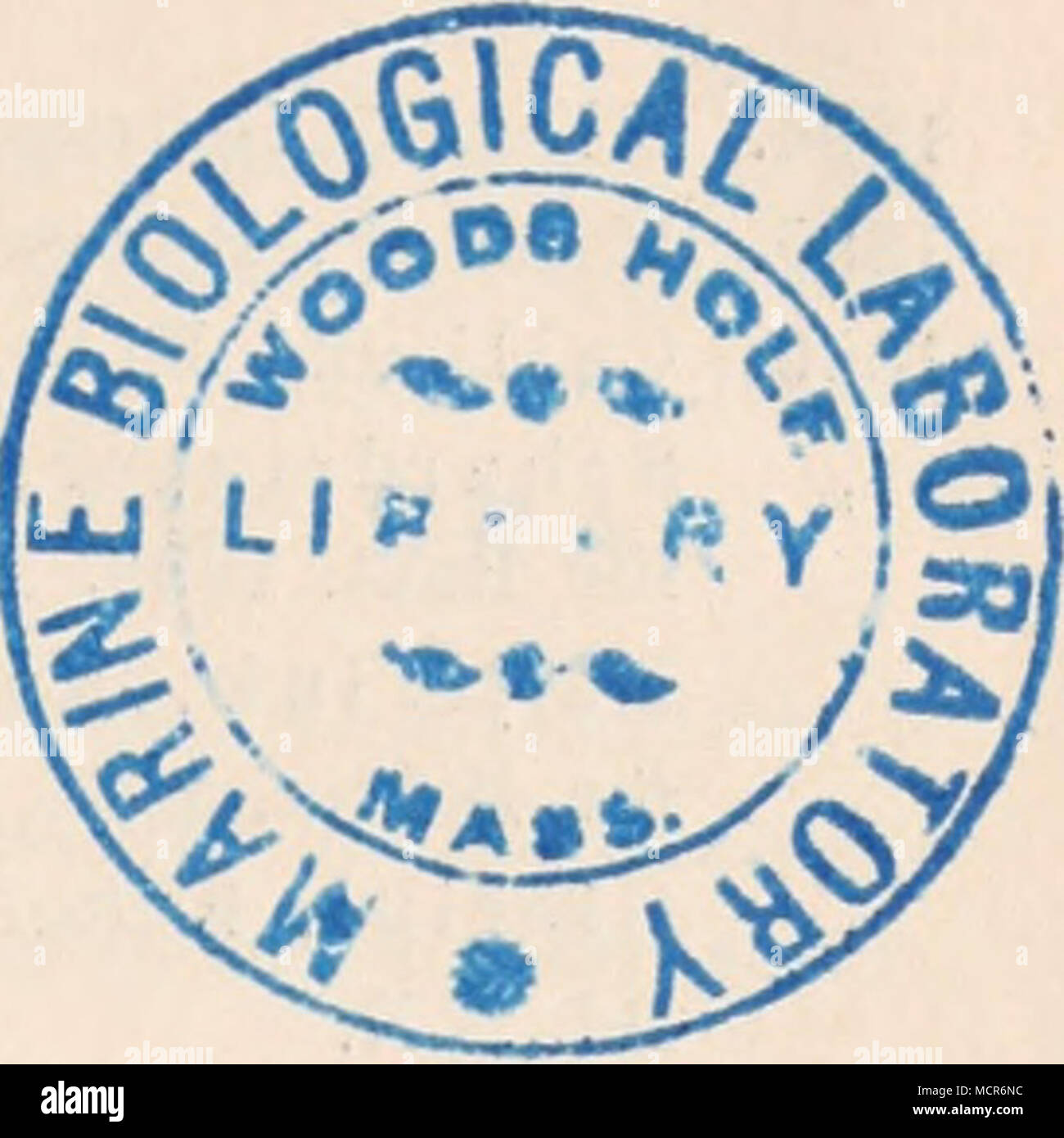 . Litteratur. Allg-emeine Litteratur über Protozoen. L. Pfeiffer, Die Protozoen als Krankheitserreger, 2. Aufl. Jena 1891. V. Wasielewski, Sporozoenkunde. Jena 1896. y[.. Braun, Die thierisclien Parasiten des Menschen. 2. Aufl. AVürzburg 1895. P. Leuckart, Die Parasiten des Menschen und die von ilinen herri'ilnendeu Krank- heiten. 2. Aufl. 1879 u. fi". L. G. Neumann, Traite des maladies parasitaires noa microbiennes des animaux dome- stiques. 2e ed. Parigi 1892. A. Railliet, Traite de Zoologie médicale et agricole. Parigi 1895. R. Mo nie z, Les parassiti de l'homme. Parigi 1888. A.Kruse, sist Foto Stock