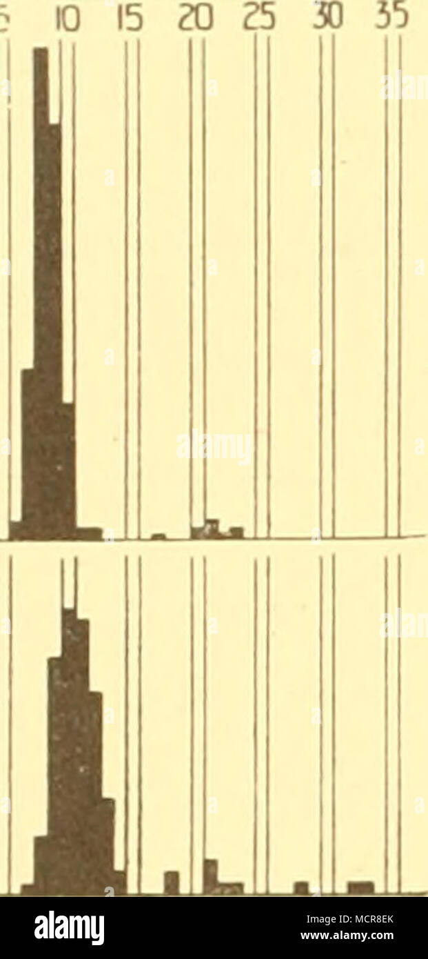 . B Fig. 38. Percentuale di frequenze di lunghezza di un'^. ramsayi prese (A) tra 51 e 100 m., e (B) tra loi e 150 m., in primavera. Non abbiamo esteso l'autunno i dati per il più piccolo Notothenia ramsayi, ma il pool di frequenze di lunghezza di molla i campioni prelevati in 51-100 e 101-150 m. mostrare tali modalità forte circa 8-10 cm. (Con il pesce più grande in acqua profonda) che è ragionevole supporre che essi rappresentano una classe di anno. Questi pesci sono il pensiero sono stati quasi un anno-o-gruppo diventando I-gruppo (Fig. 38). In autunno abbiamo ottenuto undici ricco cale di tra ottanta e 1616 individuale Foto Stock
