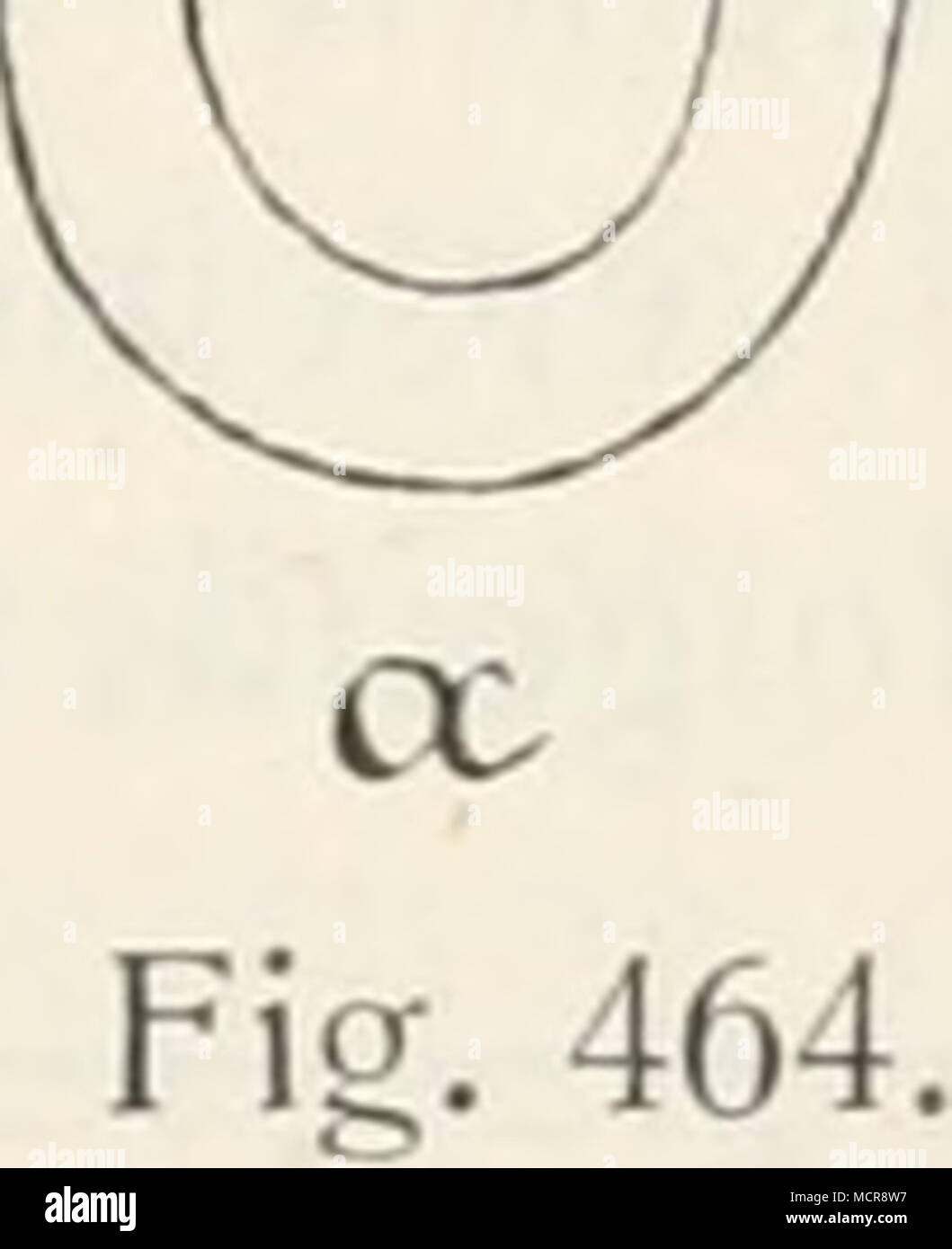 . 1 de Jager, a. a. O., 7, S. 18üf.; - vgl. auch in bezug auf die Unterbindung der Pfortader Tappeiner, Ber. d. sächs. Geseliscli. d. Wiss., matematica.-pliys. KL 1872, S. 220f.; - di Kronecker Tageblatt, d. 62. Versamnil. deutscher Naturf. in Heidelberg, 1889, S. 311; zit. nach Zentralbl. f. Physiol., 1889, S. 390; - Erlanger, Gesell und Gasser, Amcr. journ. Di Physiol., 49, S. 152; 1919. 19* Foto Stock