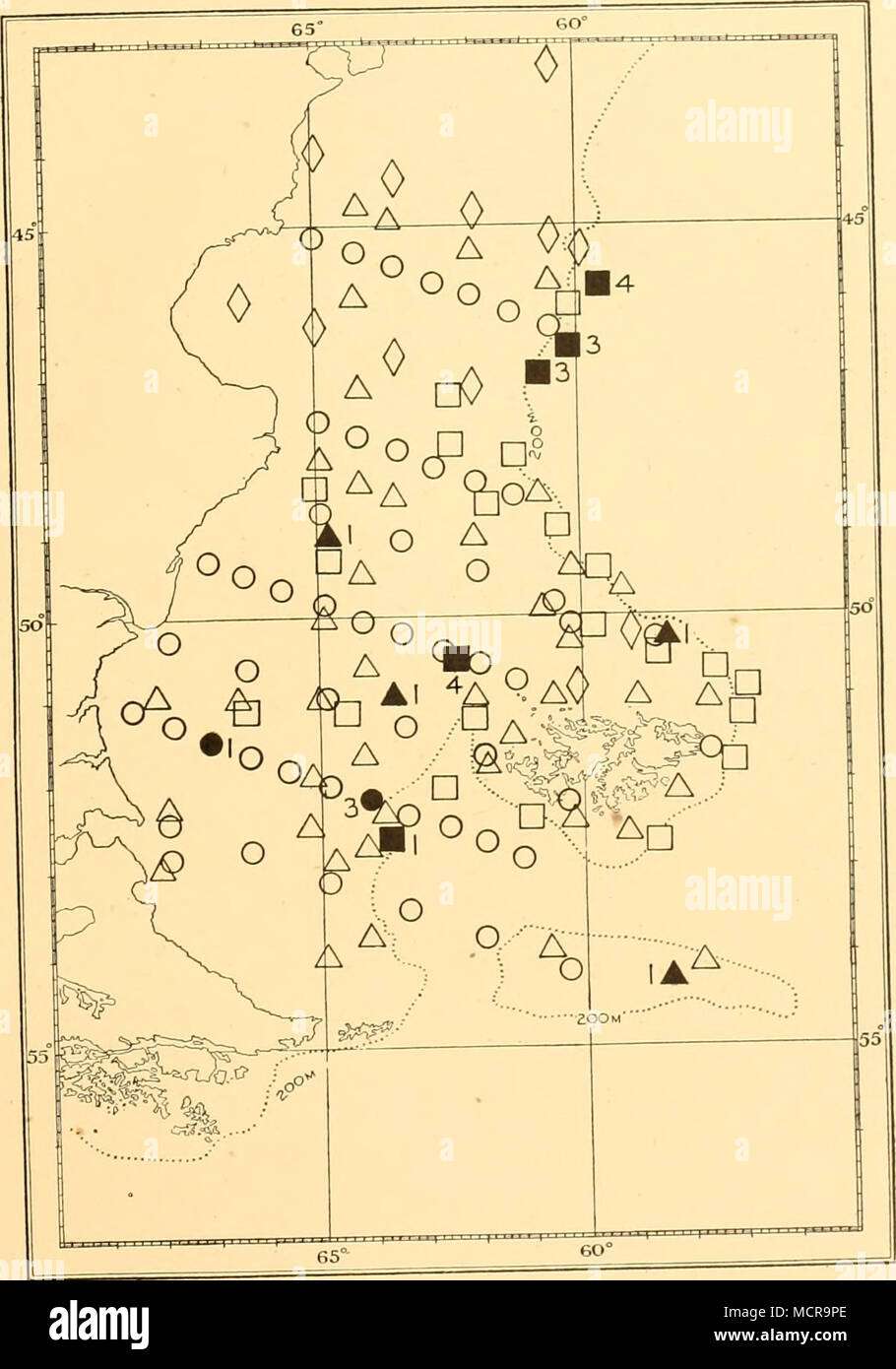 . Fig. 10. Distribuzione di io?.;un"ac/o..a".". Molla: diamanti; estate: cerchi; autunm:tria^^^^^^^^ piazze; obser negativo;ations lasciato vuoto. Nota. I simboli qui di seguito fanno riferimento alle stagioni, e non per i sondaggi. Raja magellanica Steindachner. Tutte le catture di questa specie sono stati realizzati in ^hej-terrneto^^^^^ regioni meridionali, e tutti, ma due di essi sicuramente sul ripiano. La distribuzione spaziale è mostrato Foto Stock