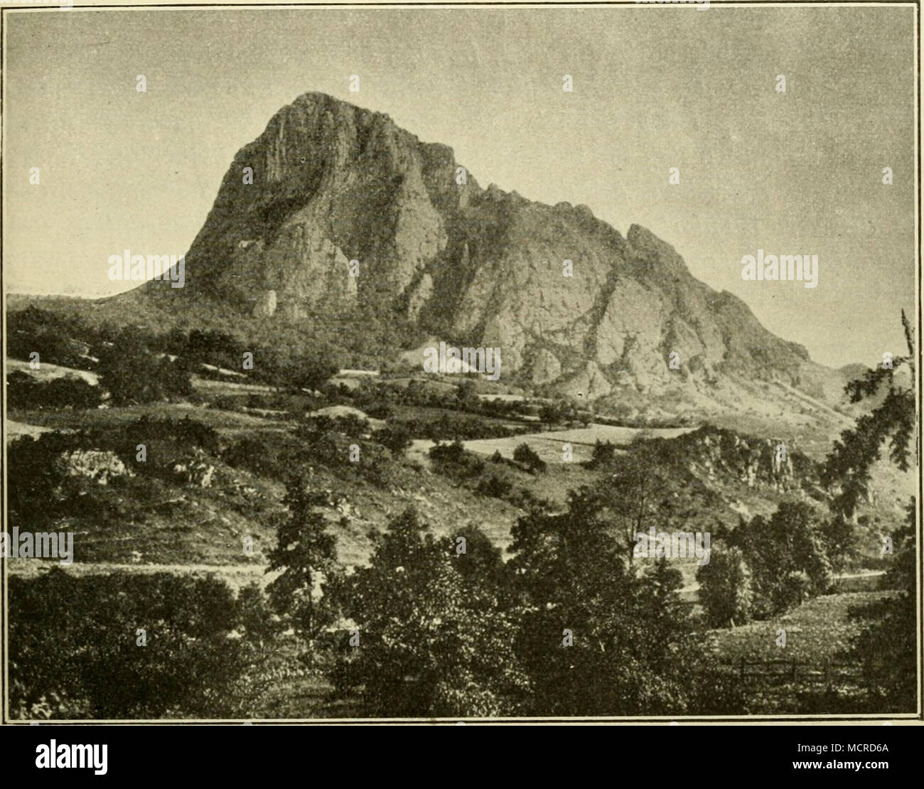 . Abb. 83. Der Boren bei Bilin. Am Fuße des Berges gemischter Laubwald und stellenweise Basaltgerölle mit Cornus mas, Cotoneaster integerrima, Sedum rupestre, Saxifraga decipiens RSU., an den Felsen Festuea glauca, Allium montanum, Dianthus gratianopolitanus (sehr zahlreich), Aster alpinus Subsp. hirsutus u. a. Im Vordergrunde Kulturland und trockene Grasfluren. (Nach H. Eckert Landschaftsbilder aus Böhmen.) (aus der Bildersammlung des istituti geographischen der Wiener Universität.) noch Anlhericiim Liliago, Adonis vernalis, Erysimum frumento, Polenlilla arenaria, Trifolium sirialum, Medicago Foto Stock