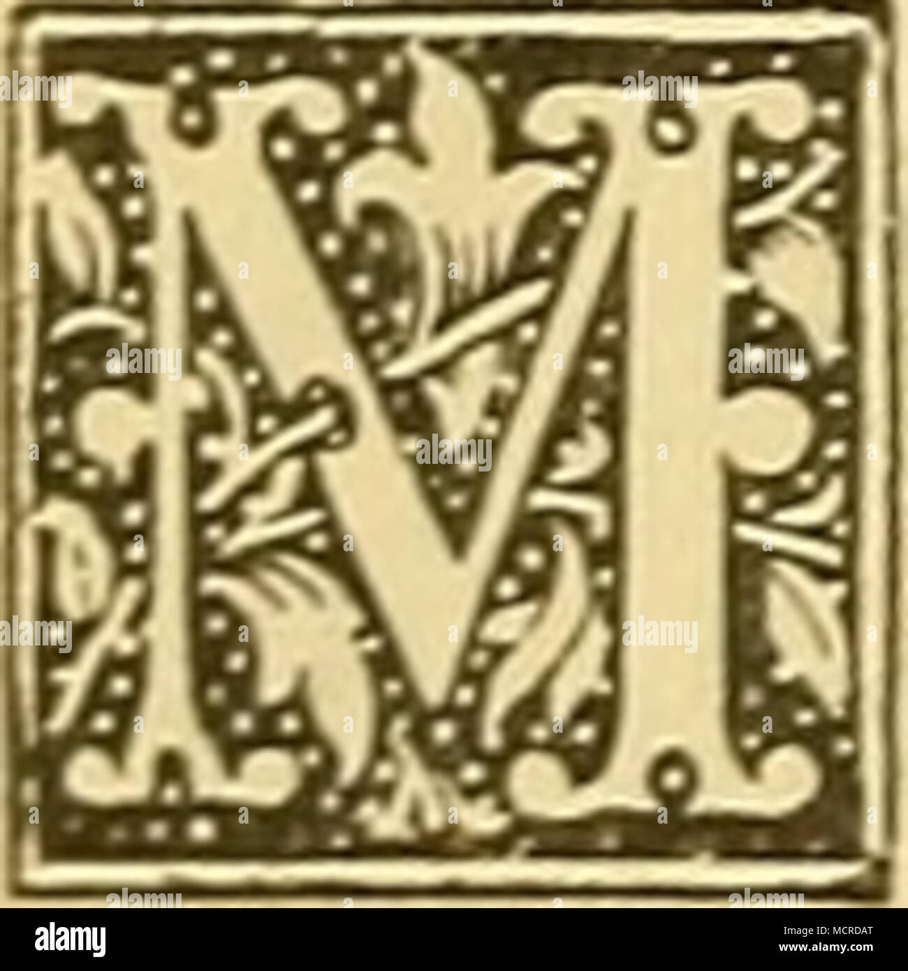 . 1) J. Bruce : Viaggi per scoprire la sorgente del Nilo. 1768- 1773. D. V. Yolkmann. V. Bd. S. 63. Tafel 17. 2) F. G. Hayne: Getreue Darstellung und Beschreibung der in der Arzneikunde gebräuchlichen Gewächse u. s. w, Berlino 1827. IX. Bd. No. 33 mit Tafel. 3) F. potatore: Aegyptens Naturgeschichte u. Anthropologie. S. 47. 4) Th. V. Heuglin: Reise in das capitolo Gebiet des weissen nulla etc. S. 108, 112 u. 128. 5) 1. Der indische Lotus (Nelumbium speciosum), 2. der aegyp- Foto Stock