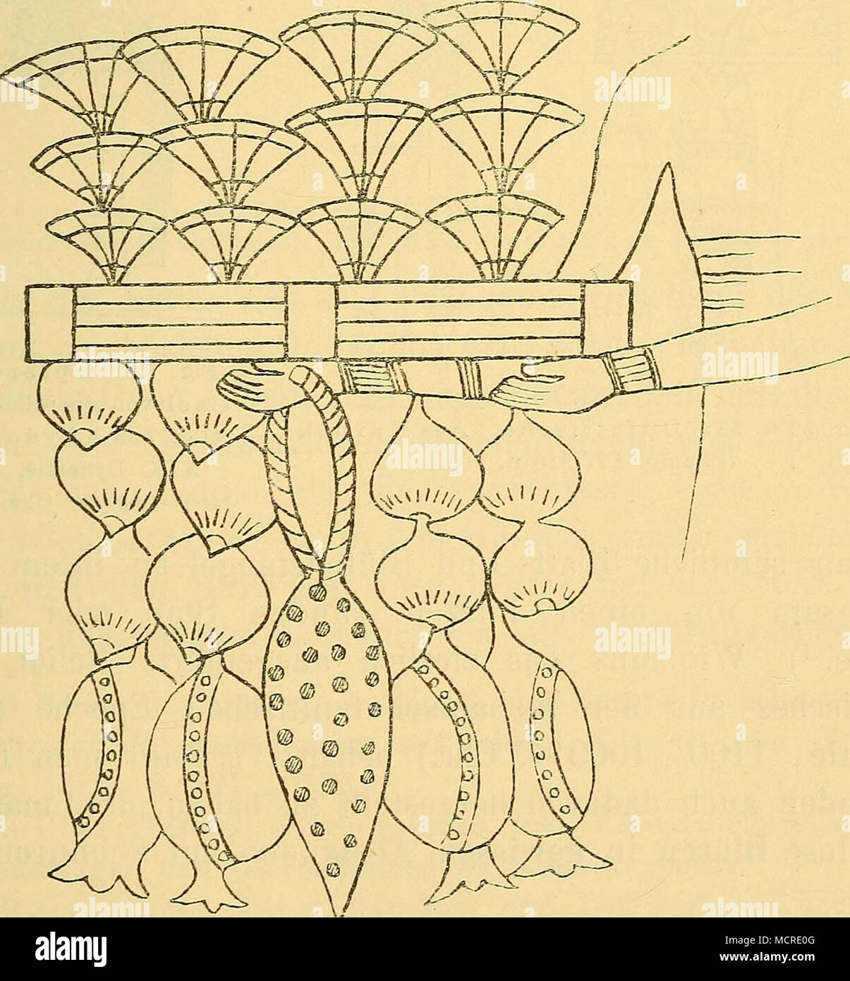 . Fig. 51: Opfer Ramses IV. (Verschiedene Früchte und Lotusblumen). Aus Tbeben (XX. Dynastie, 1200-1133 v. Chr.). | 5* Foto Stock