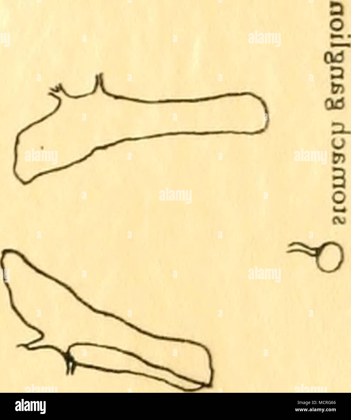 . 0 o 1 b S o J] Foto Stock