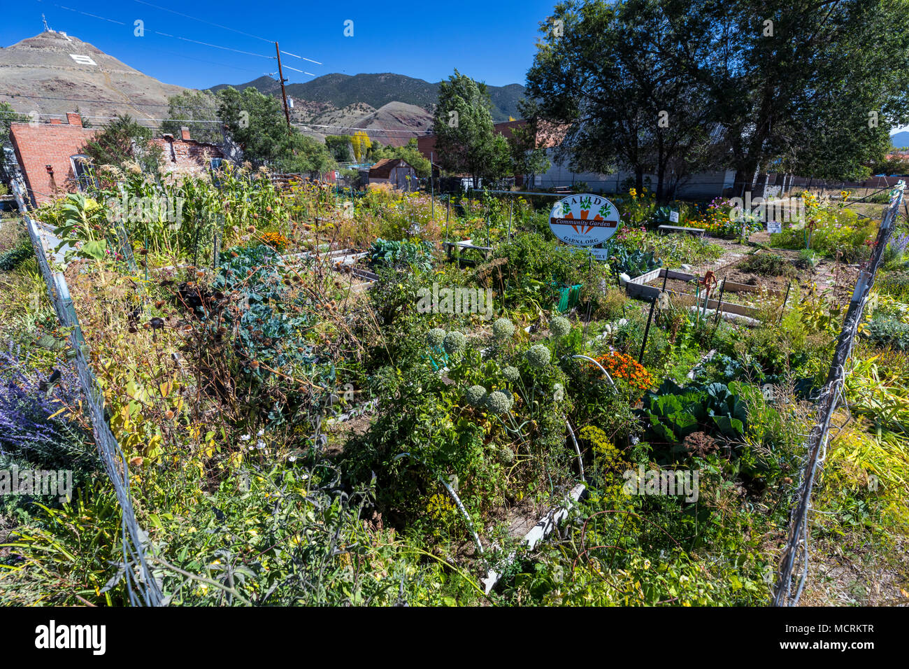 Ottobre; Salida comunità giardino; Salida, Colorado, STATI UNITI D'AMERICA Foto Stock