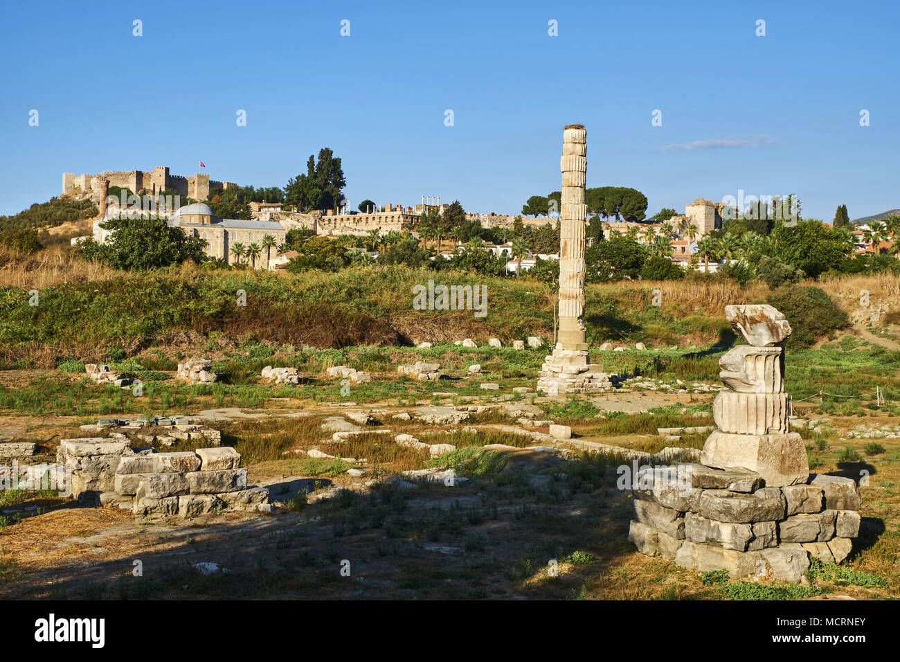 La Turchia, provincia di Izmir, Selcuk città, sito archeologico di Efeso, il tempio di Artemide Foto Stock