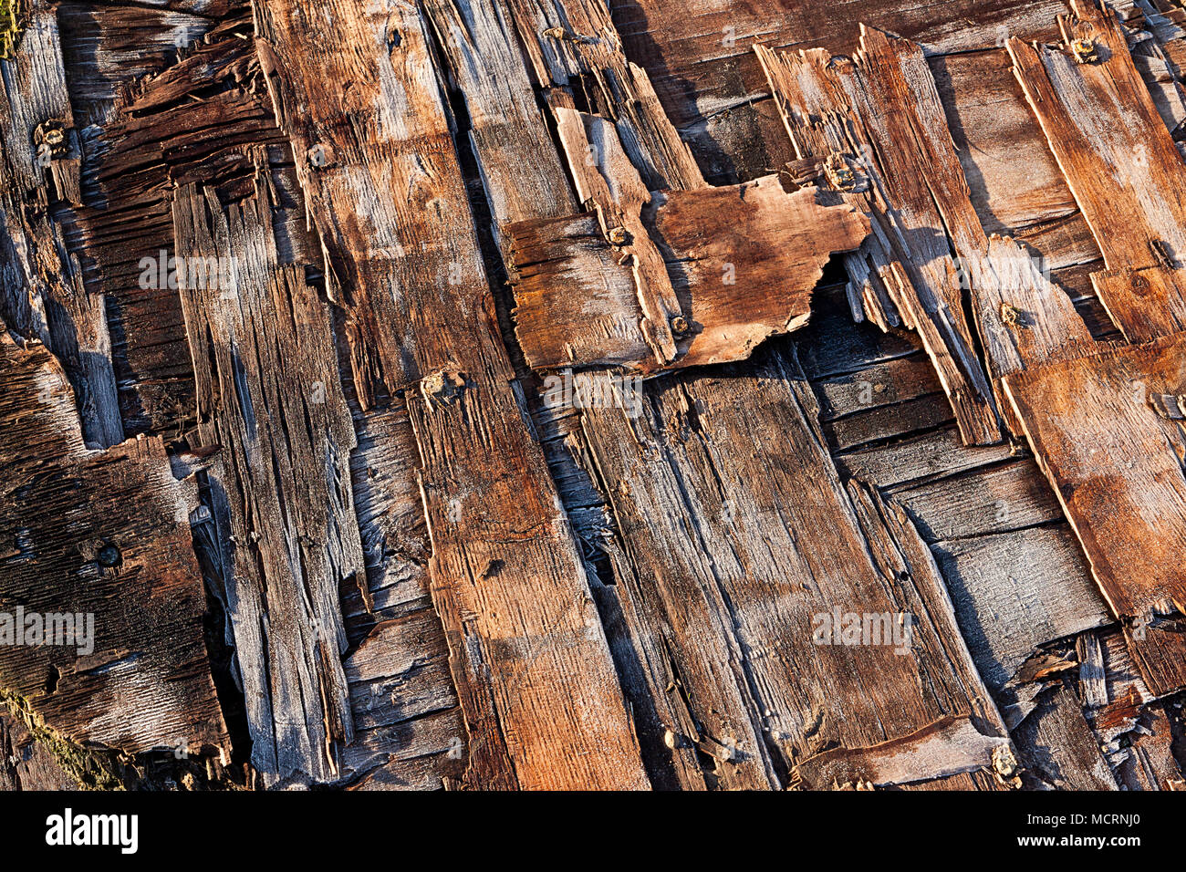 Sottili strisce di legno smerigliato in modelli astratti Foto Stock