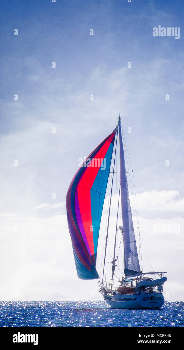 Vela il Tasman Bay, Isola del Sud, Nuova Zelanda Foto Stock
