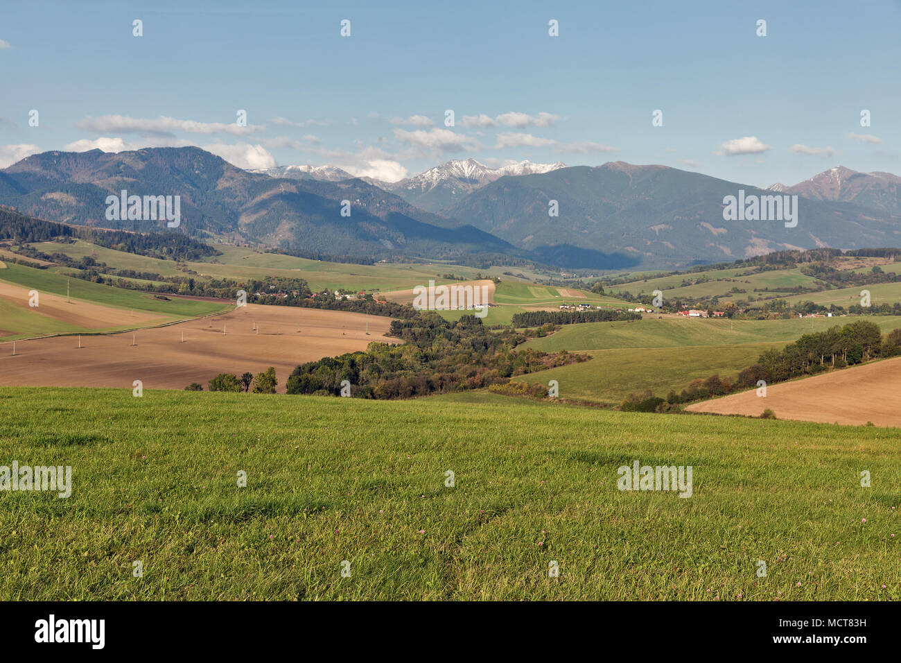 In estate il paesaggio delle colline con campo agricolo vicino a Liptovsky Trnovec nel nord della Slovacchia. Foto Stock