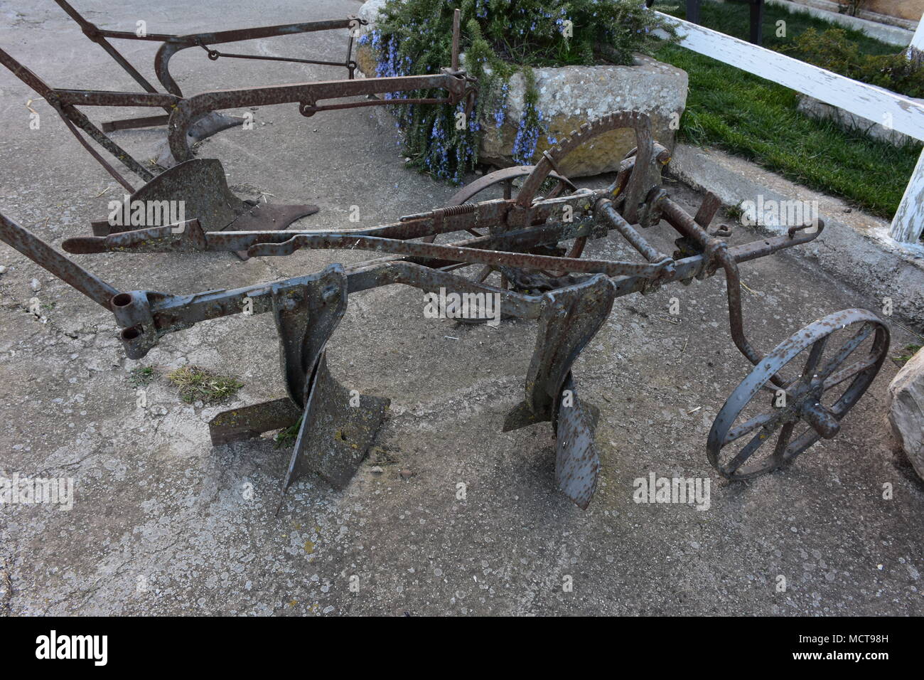 L'Italia, Puglia, tipico vecchio cavallo gli aratri. Foto Stock