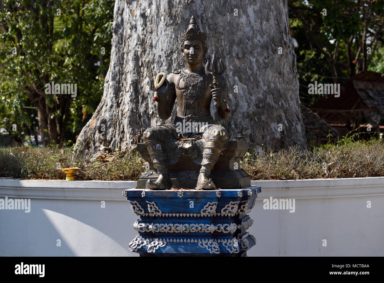 Statua di ottone di un uomo seduto di fronte a grandi tronco di albero al tempio Wat Chedi Luang, Chiang Mai, Thailandia Foto Stock