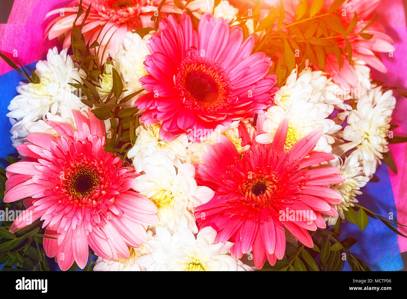 Bouquet Di Gerbere Rosa E Bianco Crisantemi Foto Stock Alamy