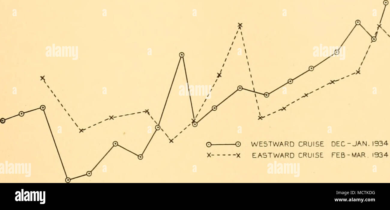 . O O crociera verso ovest dic-gen. 1934 X X CROCIERA VERSO EST FEB - MAR 1934 Fig. 8. Il silicato di medio contenuto di o-ioo m. livello nell'ovest-est e crociere di ice-regione di bordo nel Pacifico meridionale settore dell'Oceano Meridionale. è completamente contrario alle aspettative e anche in contrasto con l'o-ioo m. medie per la regione meridionale della zona antartica. Le posizioni e i valori di superficie dei vari ice-stazioni di bordo vicino al 8o° W sono indicati qui di seguito. Data posizione stazione di superficie Si03 mg/m 3 Dicembre 1933 1220 67° 45-3'S, 77° in modo-6'W 2100 Gennaio 1934 1238 67°29-i, 770 05' W 195° Foto Stock