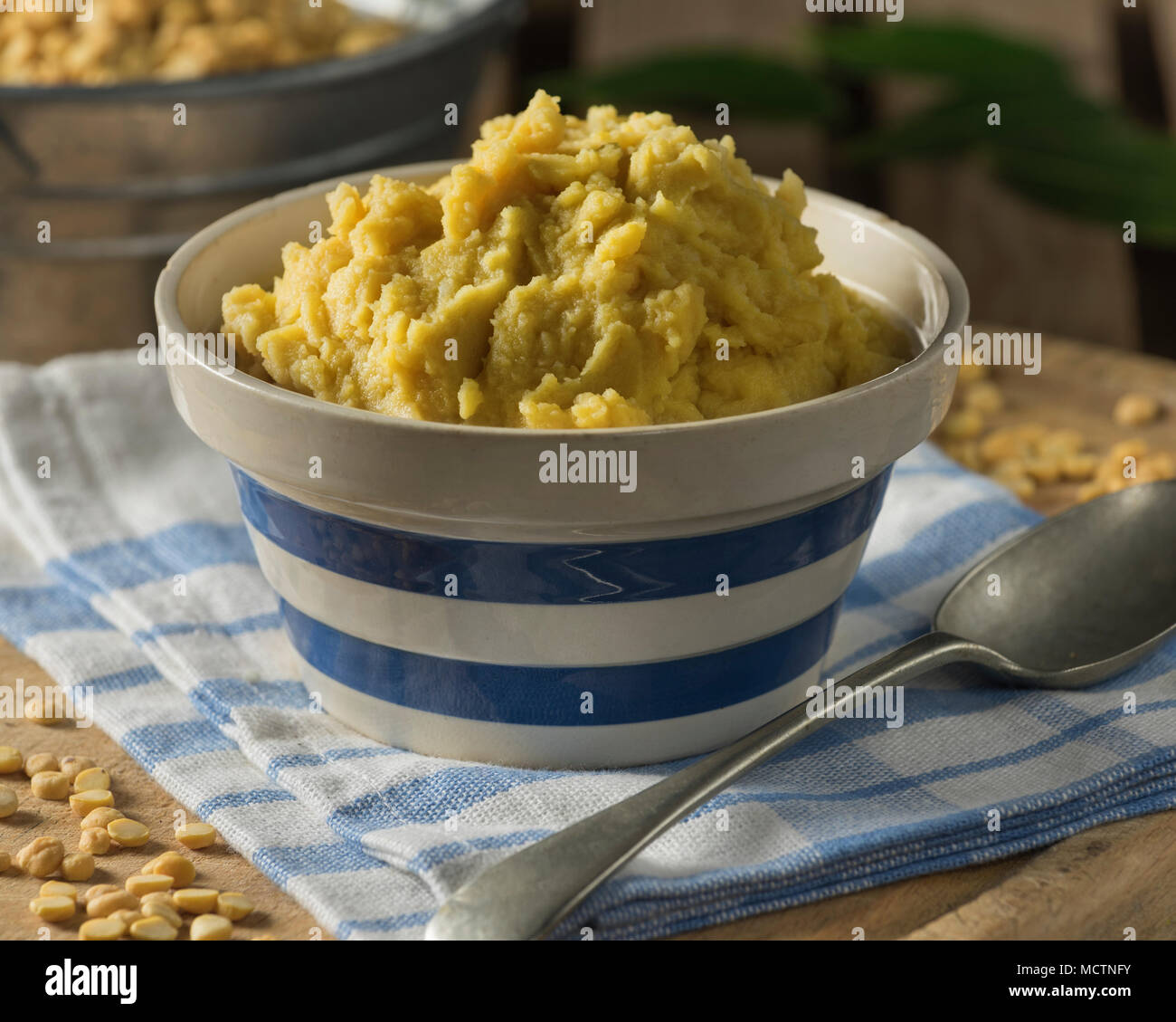 Pease pudding. Giallo purea di piselli spezzati. Il cibo del Regno Unito Foto Stock