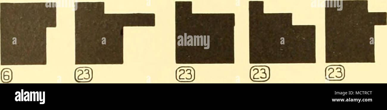 . * Acqua poco profonda stazioni 3k. 7fi r © Foto Stock