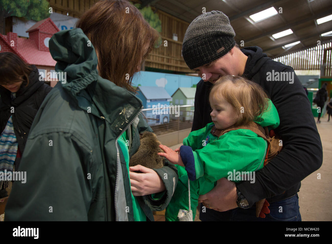 Il Toddler accarezzare un cavia Foto Stock