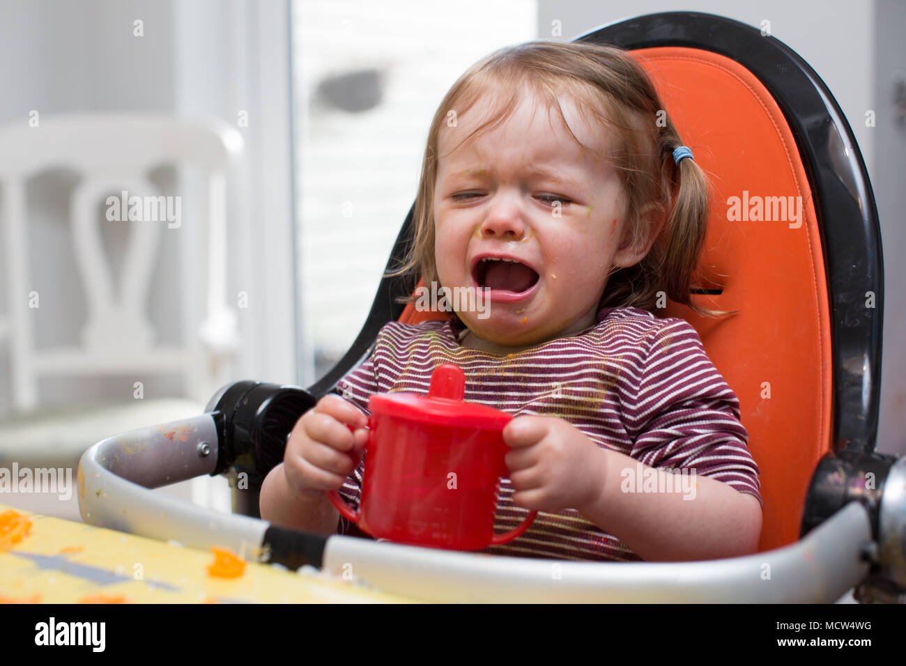 Il Toddler avente un tantrum Foto Stock