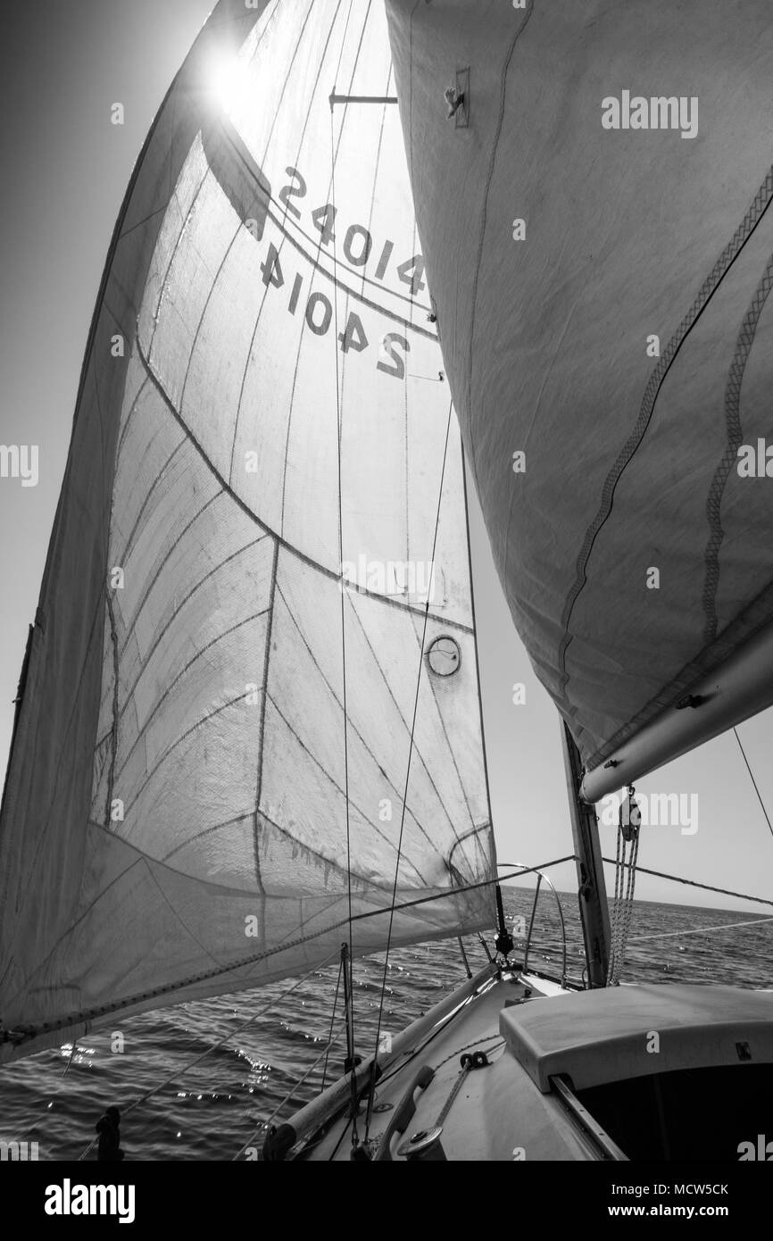 Crociera in barca a vela sul mare, Toronto, Canada Foto Stock