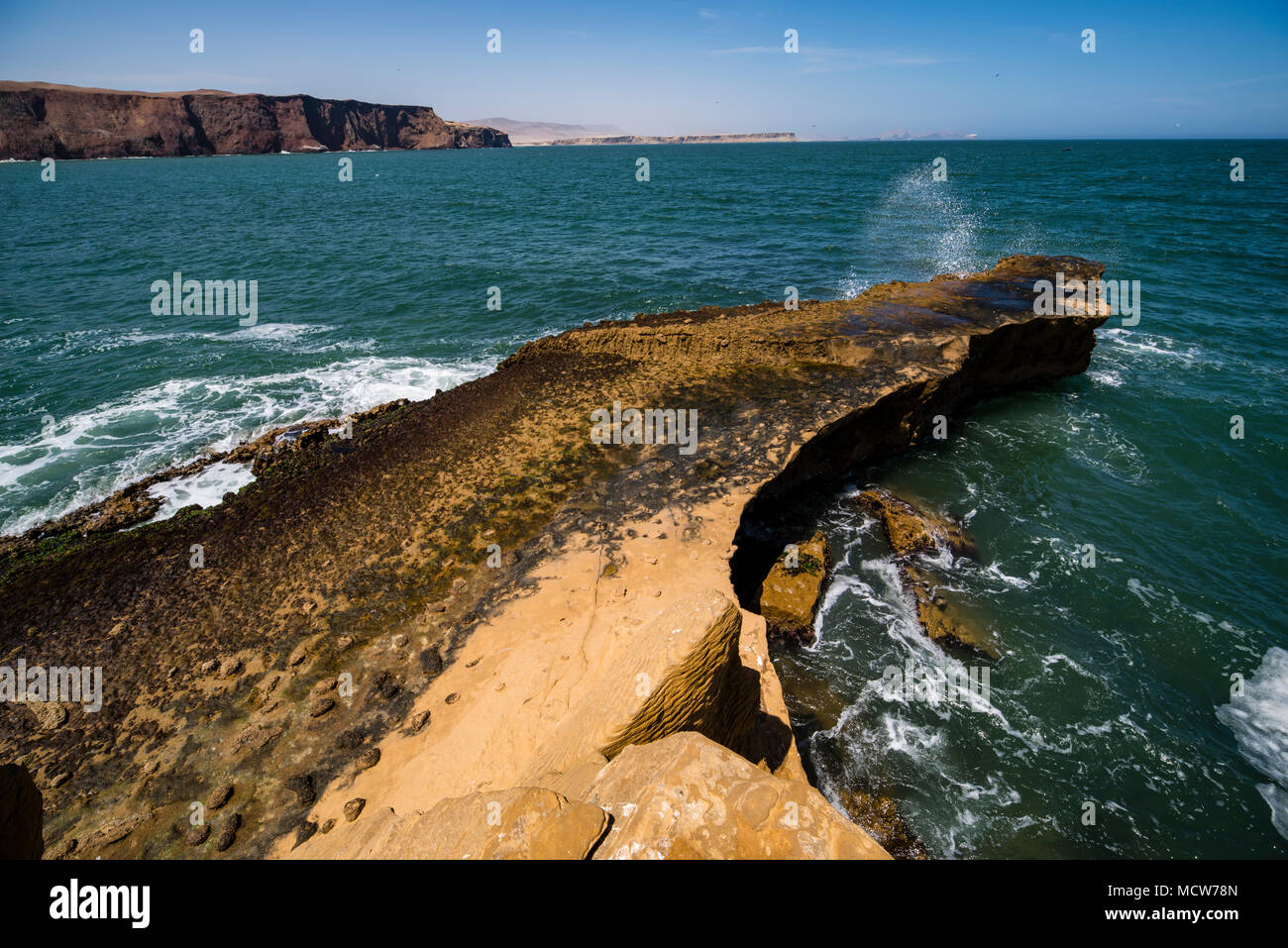 Riserva Nazionale di Paracas, Ica, Perù, Sud America. Foto Stock
