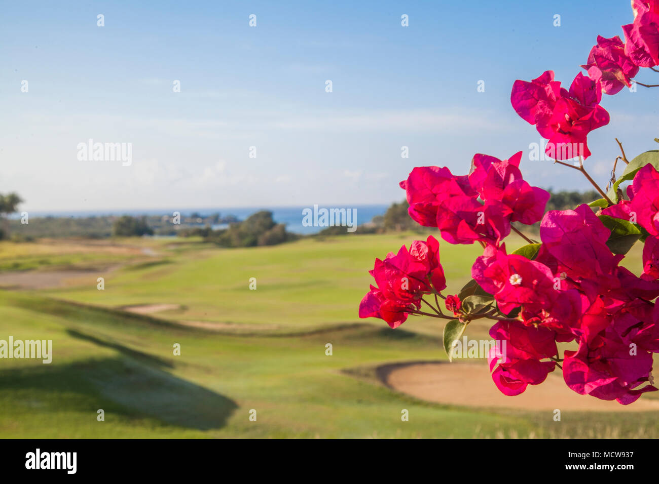 La Romana Casa de Campo golf in Punta Cana Repubblica Dominicana Foto Stock