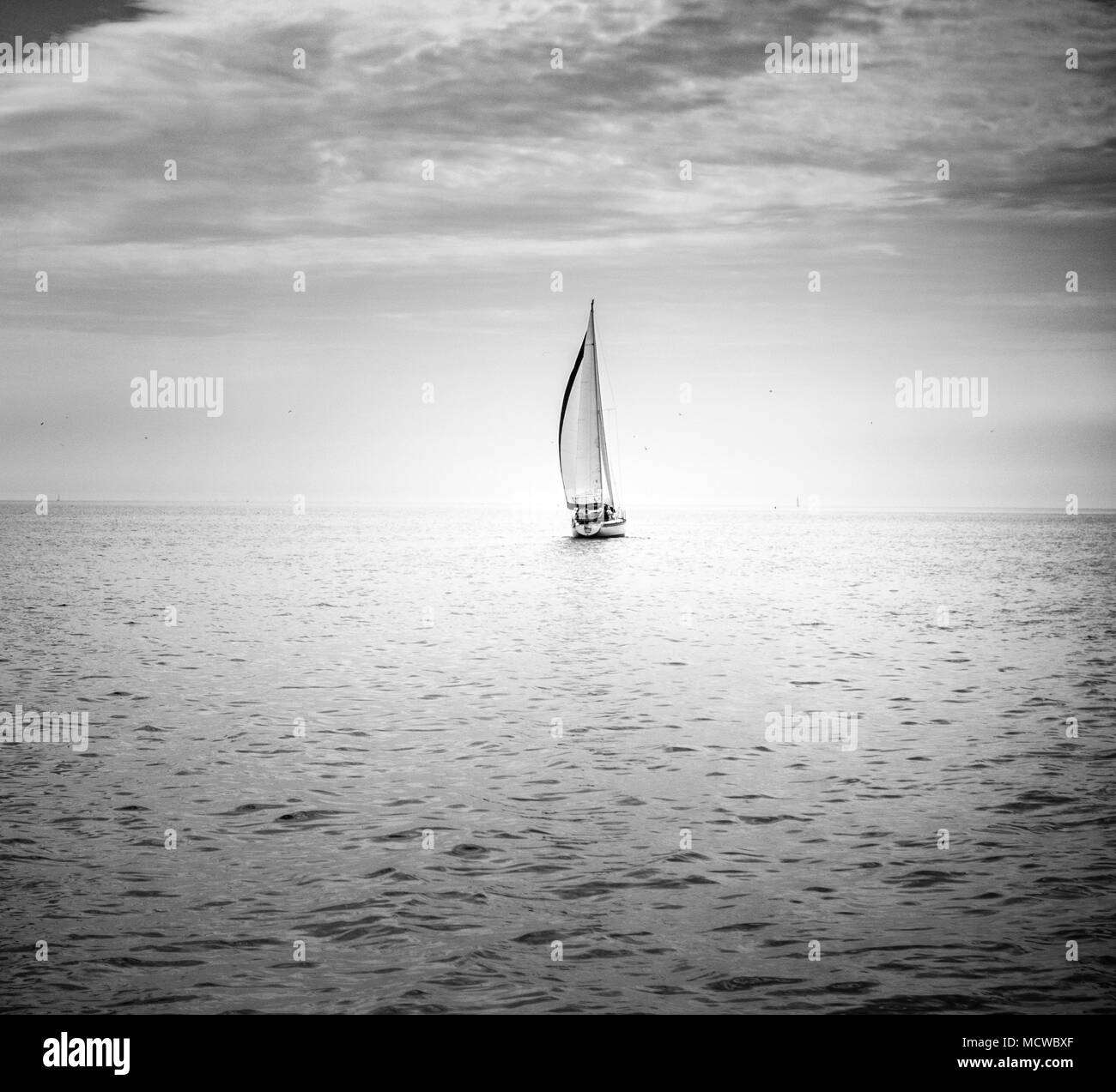 Crociera in barca a vela sul mare, Toronto, Canada Foto Stock