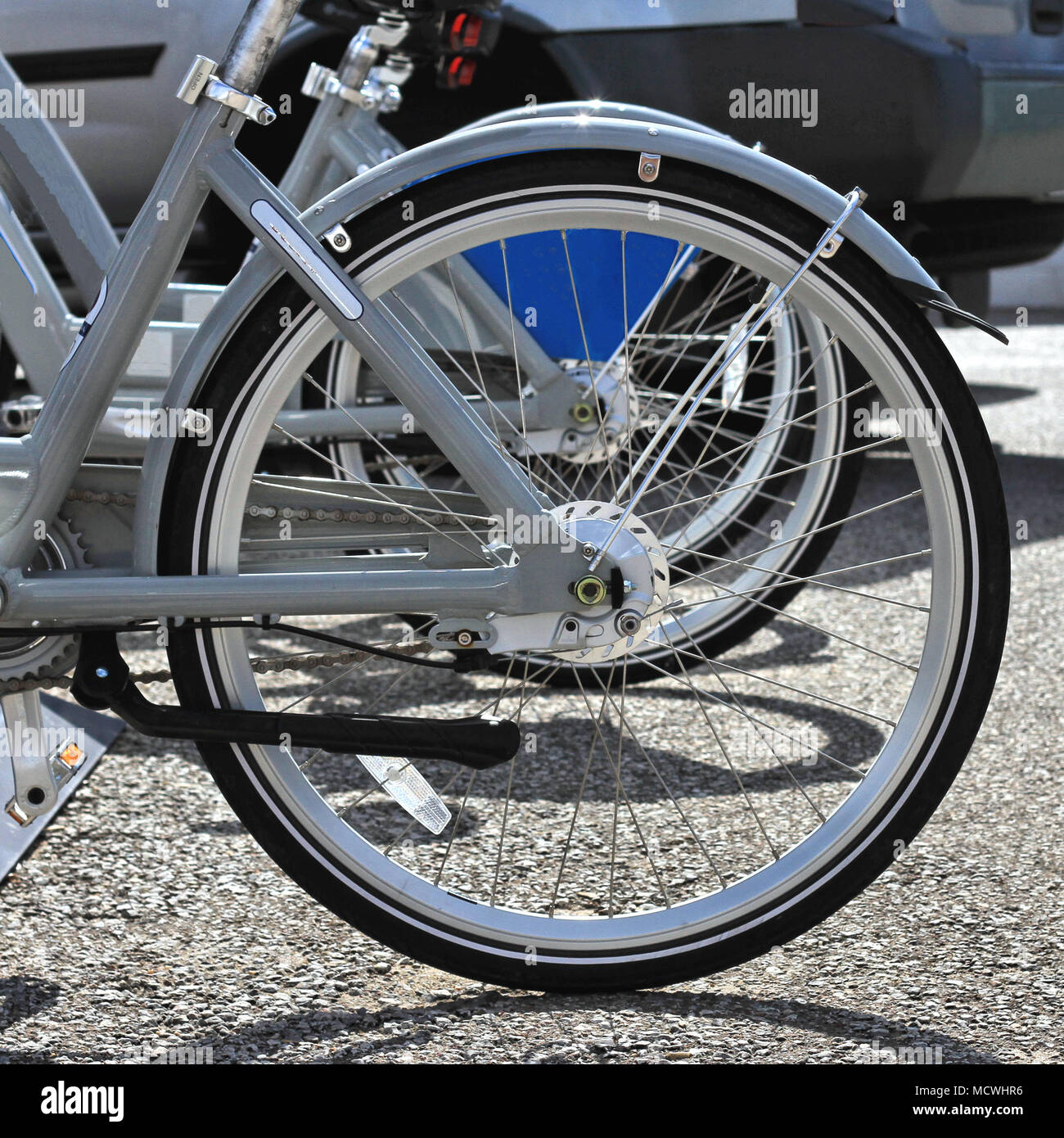 I pneumatici posteriori di una fila di biciclette in un parcheggio. Foto Stock