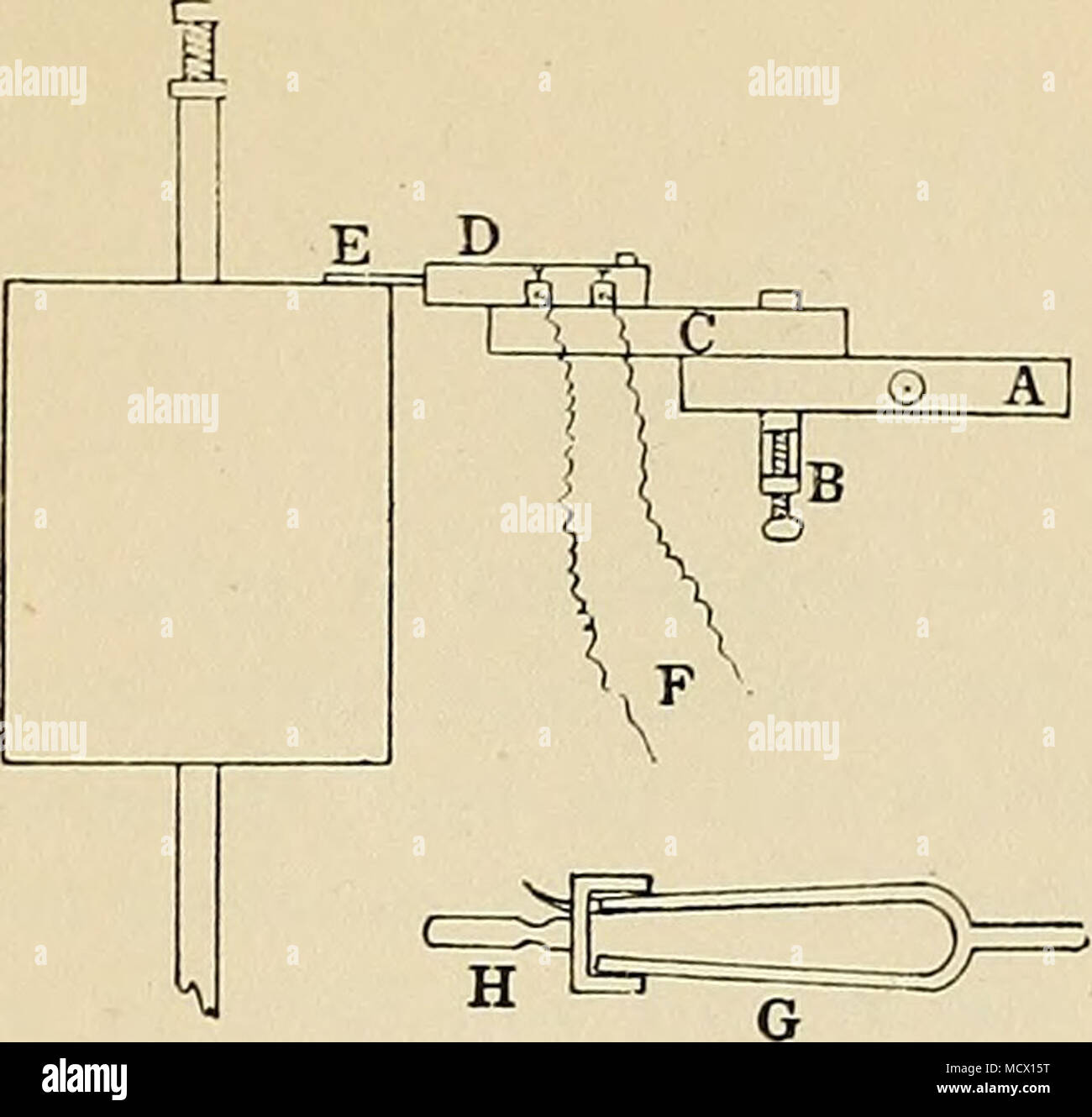 . Net maker's morsetto; C, mercurio chiave; D, il manico della chiave; e, pezzo di metallo; F, fili per il circuito primario; G. diapason; H, forcella. Esperimento. - Annerite un tamburo ; portare la chiave in posizione per essere aperto quando il tamburo viene ruotato; lasciare la chiave aprire quando la corrente non è voluto. Preparare un muscolo gastrocnemio; sospenderlo in camera umida e collegarlo alla leva; perno di spinta del perno elec- trode attraverso il tendine ; regolare il supporto in modo che il muscolo deve Fig. 5. Apparecchiatura per essere automaticamente aftcr-loadcd zvJicii thread muscolo emozionante facendo in modo che il tamburo • . j ± 1 1 • 1 aprire la chiave. Una rana, boird; B, cabi- W tCllSC m Foto Stock
