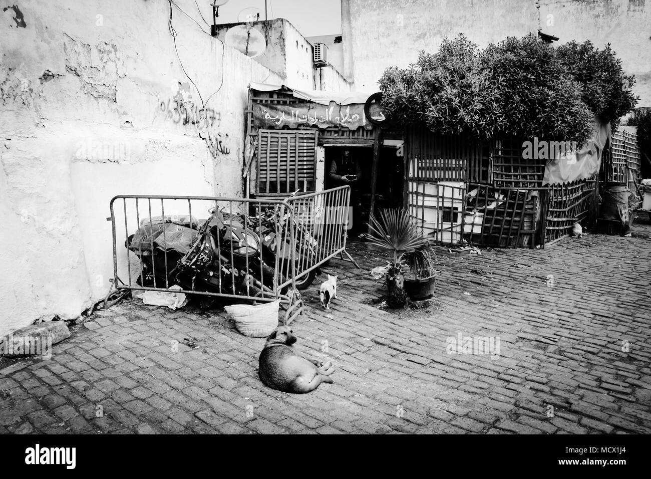 Vecchia immagine in bianco e nero di un ciclomotore semplice officina di riparazione accanto al vecchio souk di Casablanca, Marocco Foto Stock