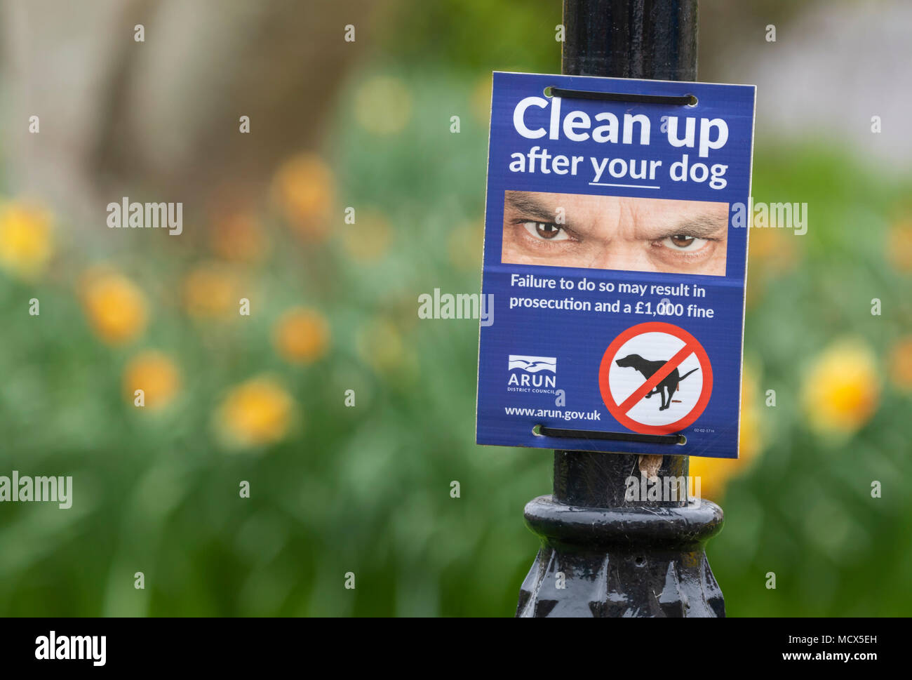 Consiglio segno di avvertimento di pulizia dopo il vostro cane non un poo, in Littlehampton, West Sussex, in Inghilterra, Regno Unito. Foto Stock