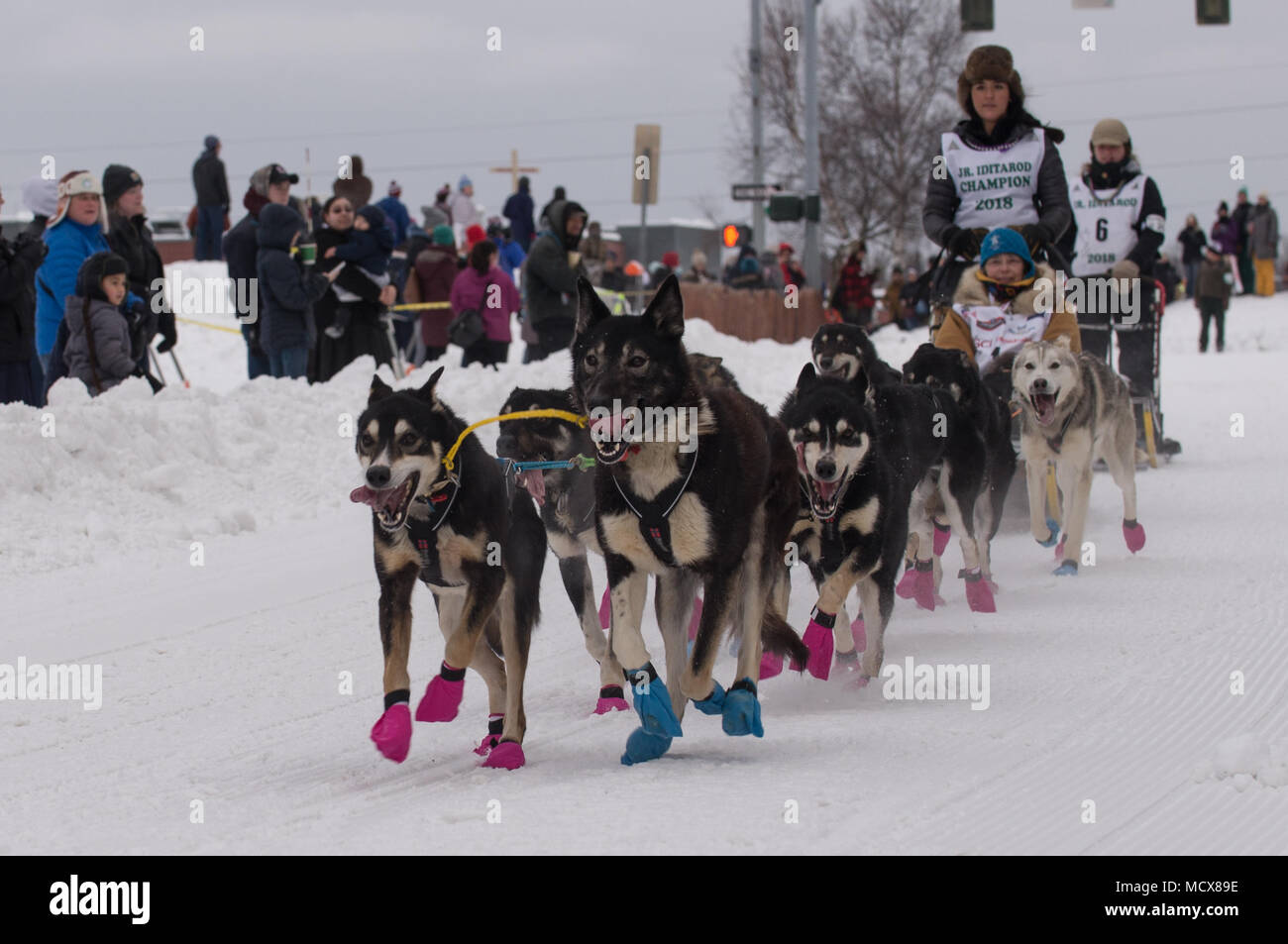 La 46a gara annuale di cani da slitta Iditarod Trail è stata una competizione di cani da slitta a lunga distanza condotta in Alaska nel 2018, a partire da un inizio cerimoniale di 11 miglia ad Anchorage il 3 marzo. Il percorso si estende per circa 1.000 miglia fino a nome lungo il Mare di Bering. L'immagine d'archivio registra i musher e le squadre di cani partecipanti al segmento di apertura della gara. Foto Stock