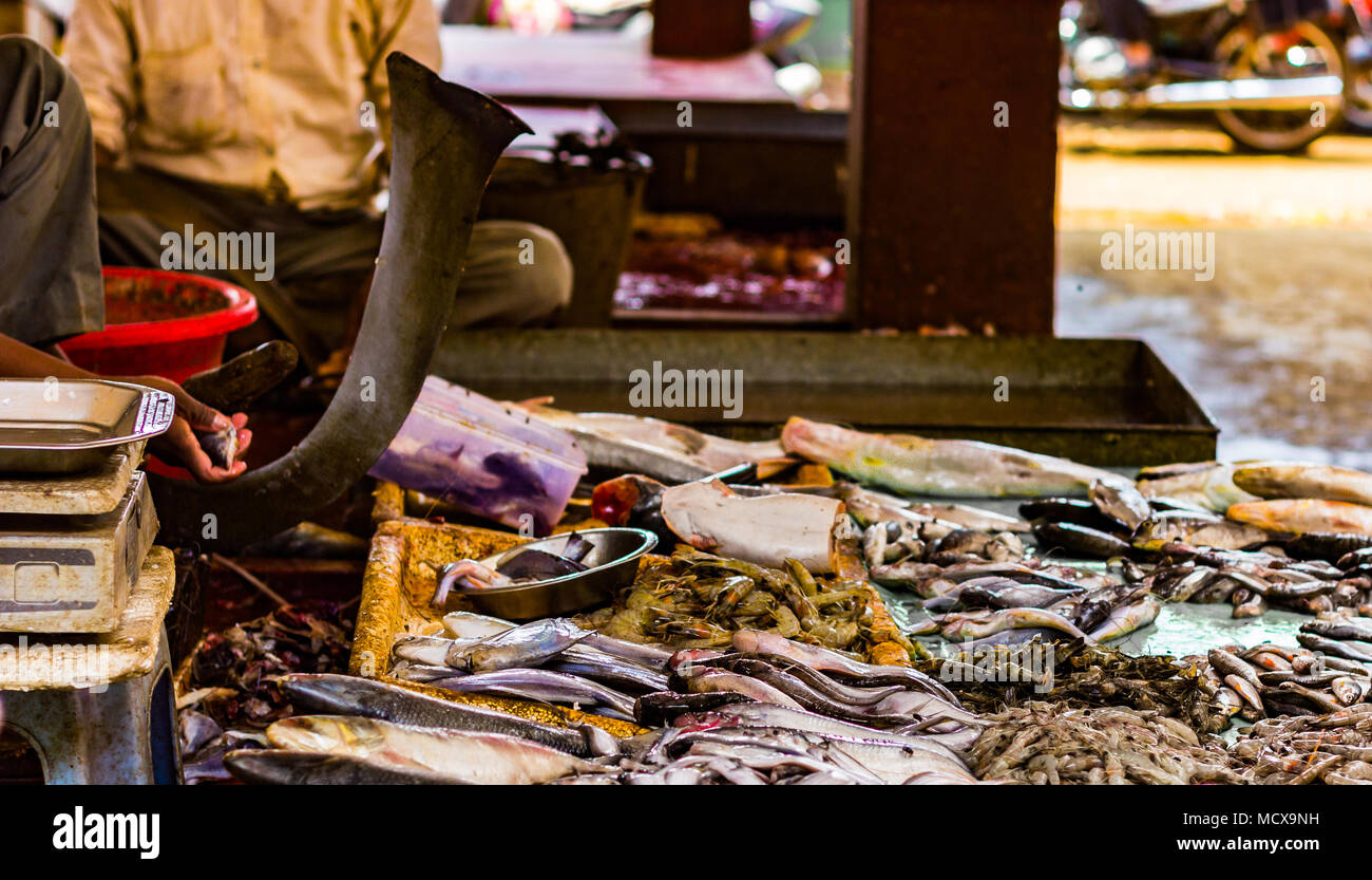 Hilsa rohu katla astice di gamberi e vari tipi di pesci visualizzati in indian mercato del pesce a Kolkata. Foto Stock