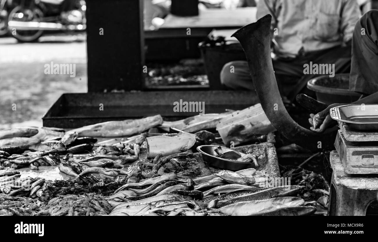 Hilsa rohu katla astice di gamberi e vari tipi di pesci visualizzati in indian mercato del pesce a Kolkata in bianco e nero Foto Stock