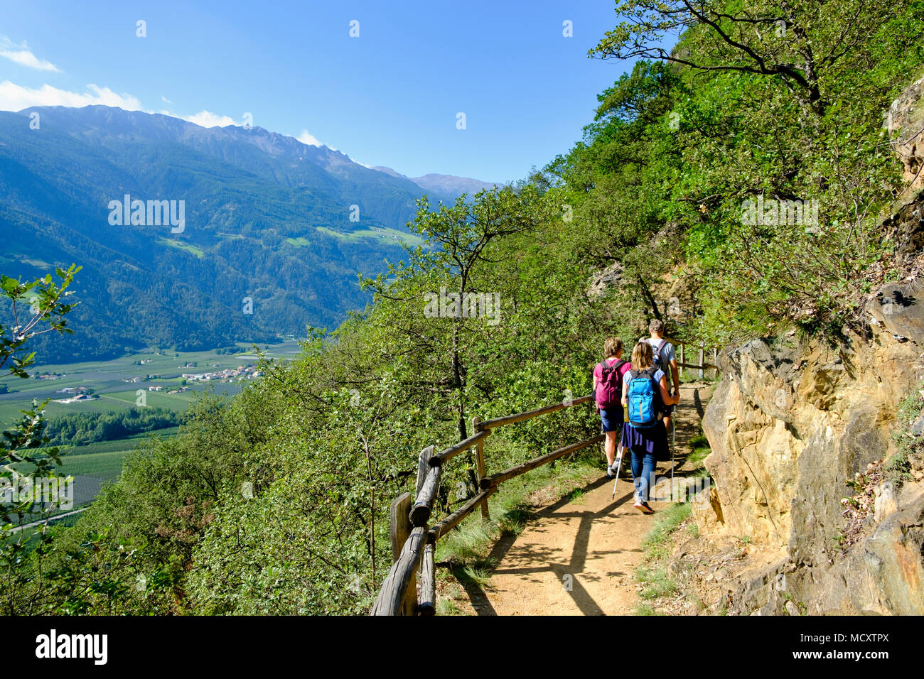 Gli escursionisti sul Monte Sole sentiero panoramico, Naturno, Val Venosta, Alto Adige, Italia Foto Stock