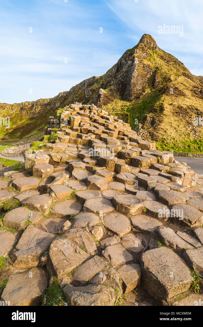 Giant's Causeway, Irlanda del Nord, Regno Unito Foto Stock