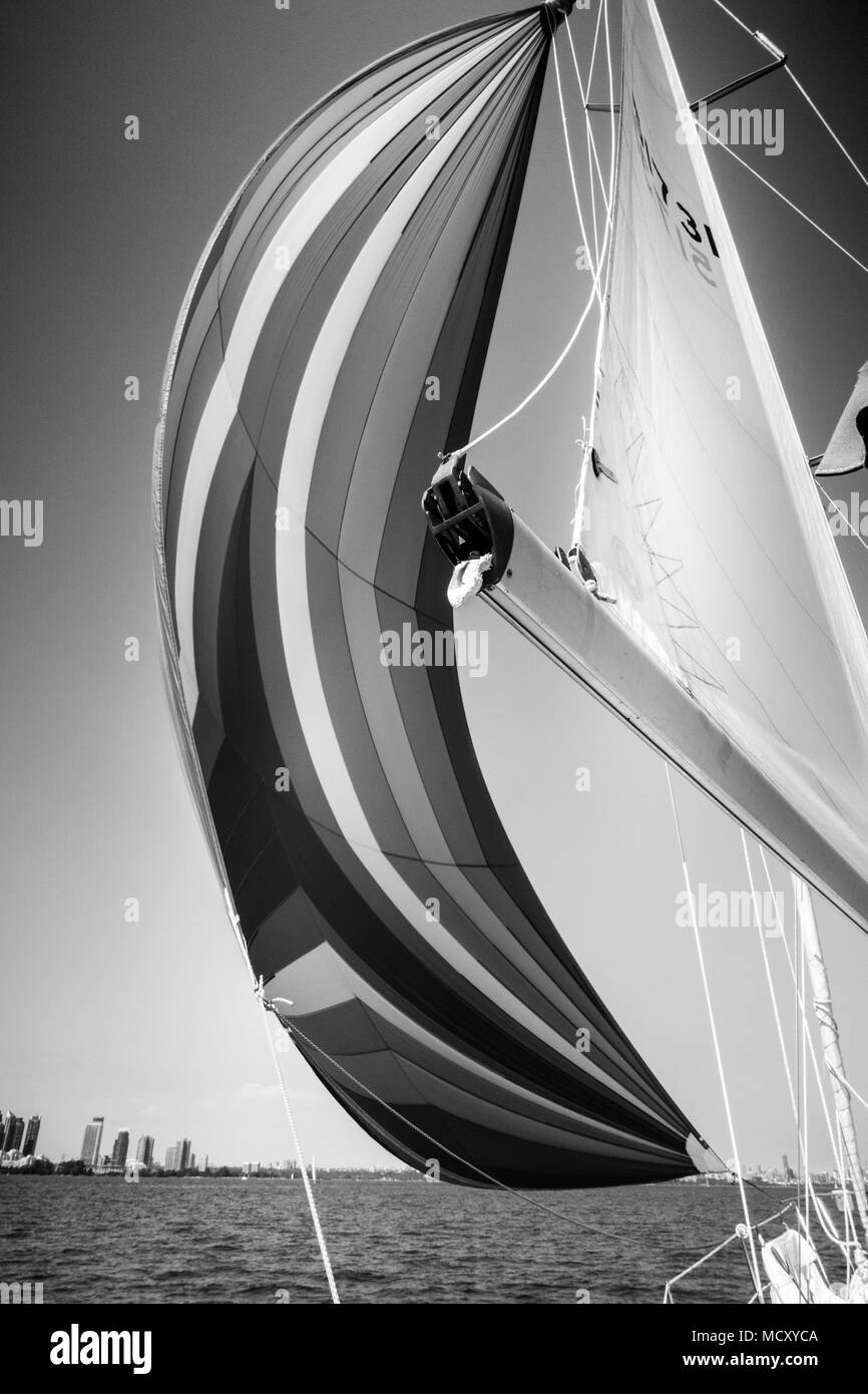 In barca a vela e seascape con skyline della città nel lontano, Toronto, Canada Foto Stock
