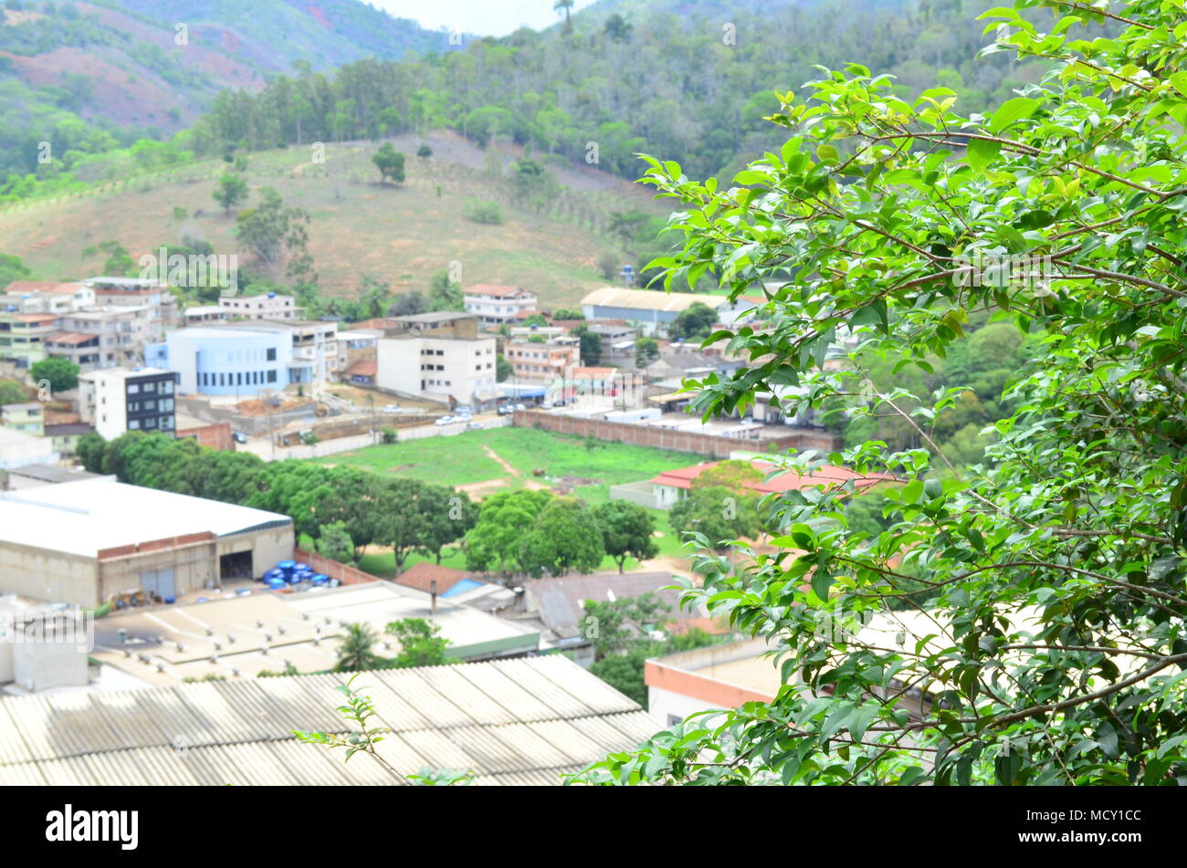 Carlos Germano Naumann bairro arvore cidade Foto Stock