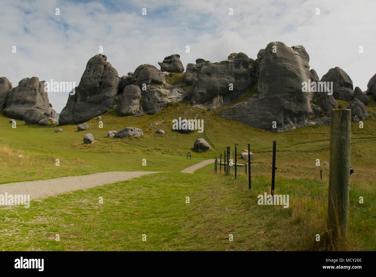 Formazione di roccia in un campo nell'Isola del Sud della Nuova Zelanda Foto Stock