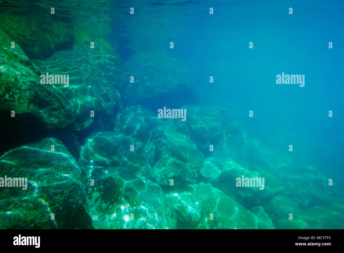 Il verde e il blu del tono di subacquea sfondo roccioso. Foto Stock