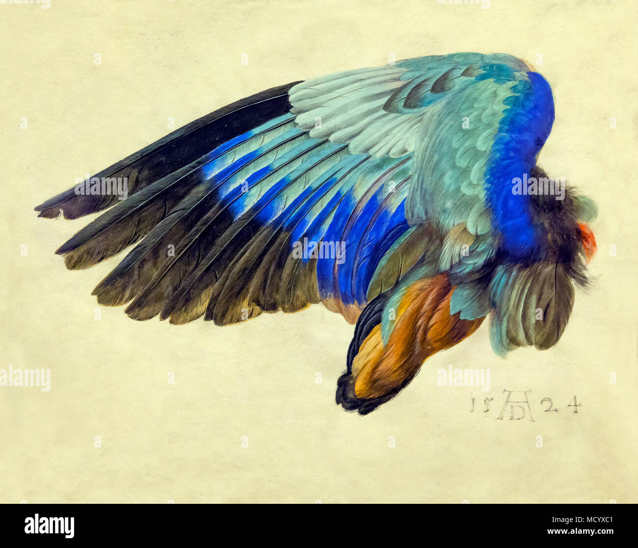 L'ala sinistra di un rullo blu, Hans Hoffmann, circa 1580, National Gallery of Art di Washington DC, USA, America del Nord Foto Stock