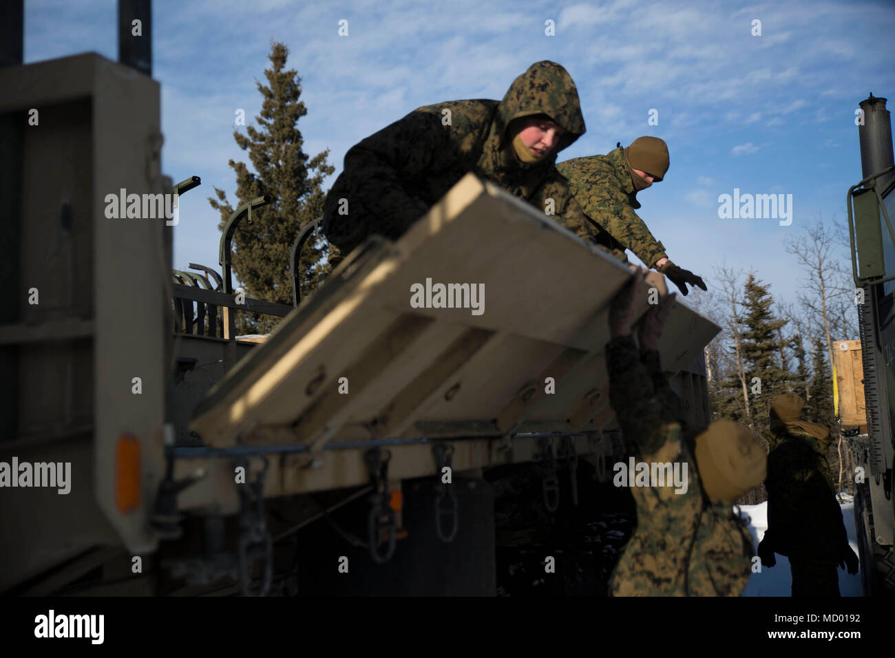 Marines con logistica di combattimento reggimento 25 preparare veicoli per esercitare Arctic Edge 18 a Fort Greely, Alaska, 9 marzo 2018. Arctic Edge 18 è una biennale su grande scala, joint-esercizio che prepara e prove il militare degli Stati Uniti è la sua capacità di operare tatticamente nel freddo estremo-Condizioni meteorologiche rilevate in ambienti artici con più di 1500 partecipanti dalla Air Force, esercito, Coast Guard, Marine Corps e il Navy utilizzando l'unica e possibilità di espansione in aria e a terra le aree di formazione in Alaska. (U.S Marine Corps foto di Sgt. Brianna Gaudi) Foto Stock