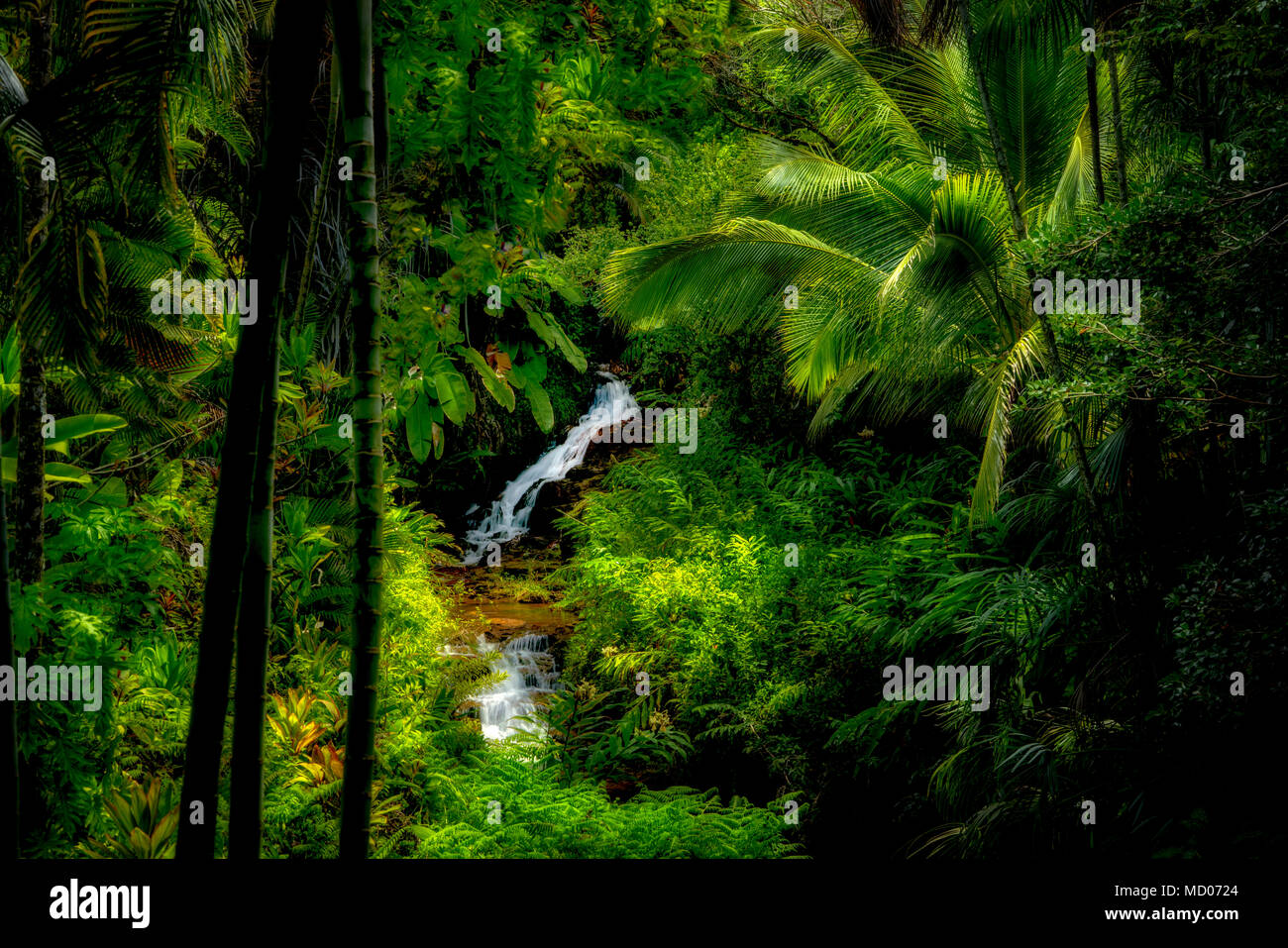 Cascate sul flusso di Anini. Princeville Giardini Botanici. Kauai, Hawaii Foto Stock