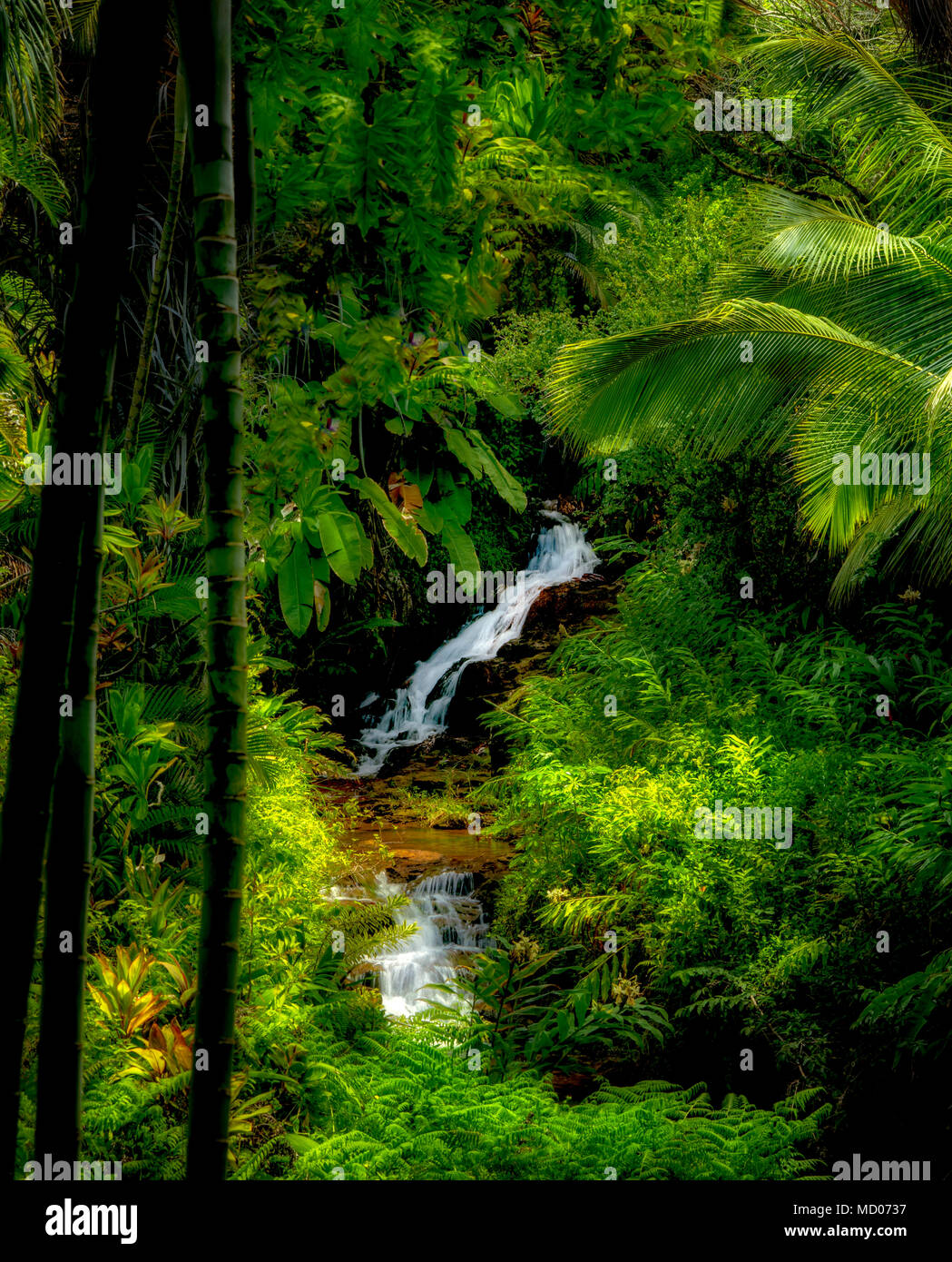 Cascate sul flusso di Anini. Princeville Giardini Botanici. Kauai, Hawaii Foto Stock