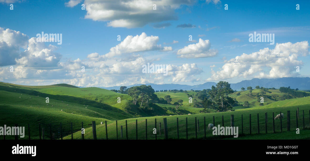 Paesaggio con cielo blu con nuvole e verdi colline, Nuova Zelanda campagna Foto Stock