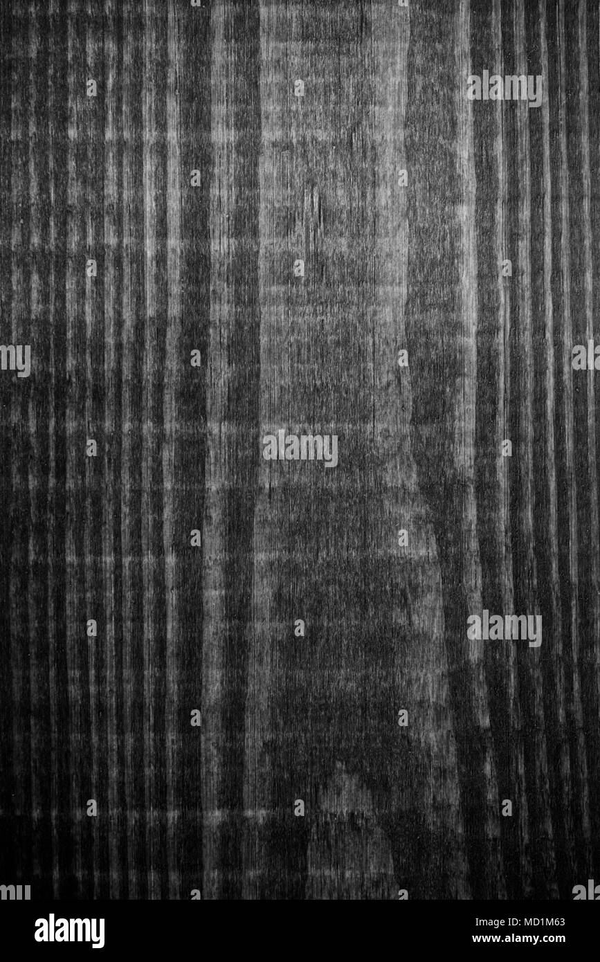 Texture di legno. Grigio scheda di legname stagionato con linee di crack. Sfondo naturale per shabby chic design. Grigio a pavimento in legno immagine. Albero anziano superficie close-up Modello di sfondo Foto Stock