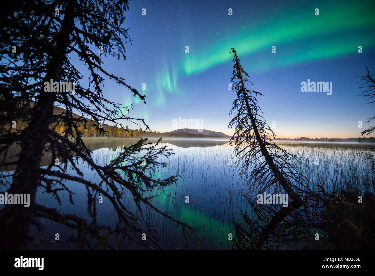 Luci del nord in Pallas-Yllästunturi National Park, Muonio, Lapponia, Finlandia. Foto Stock